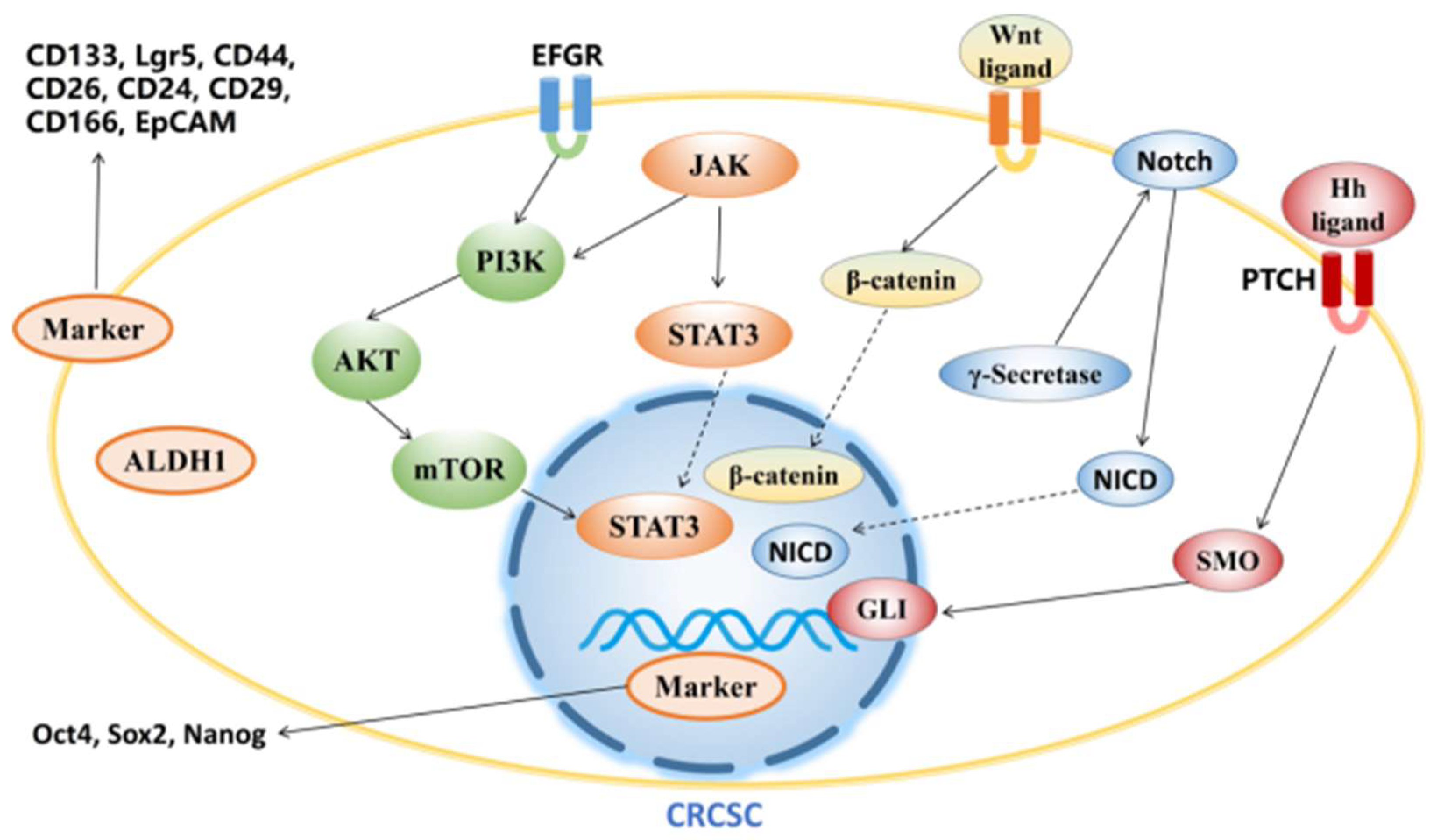 Preprints 87793 g002