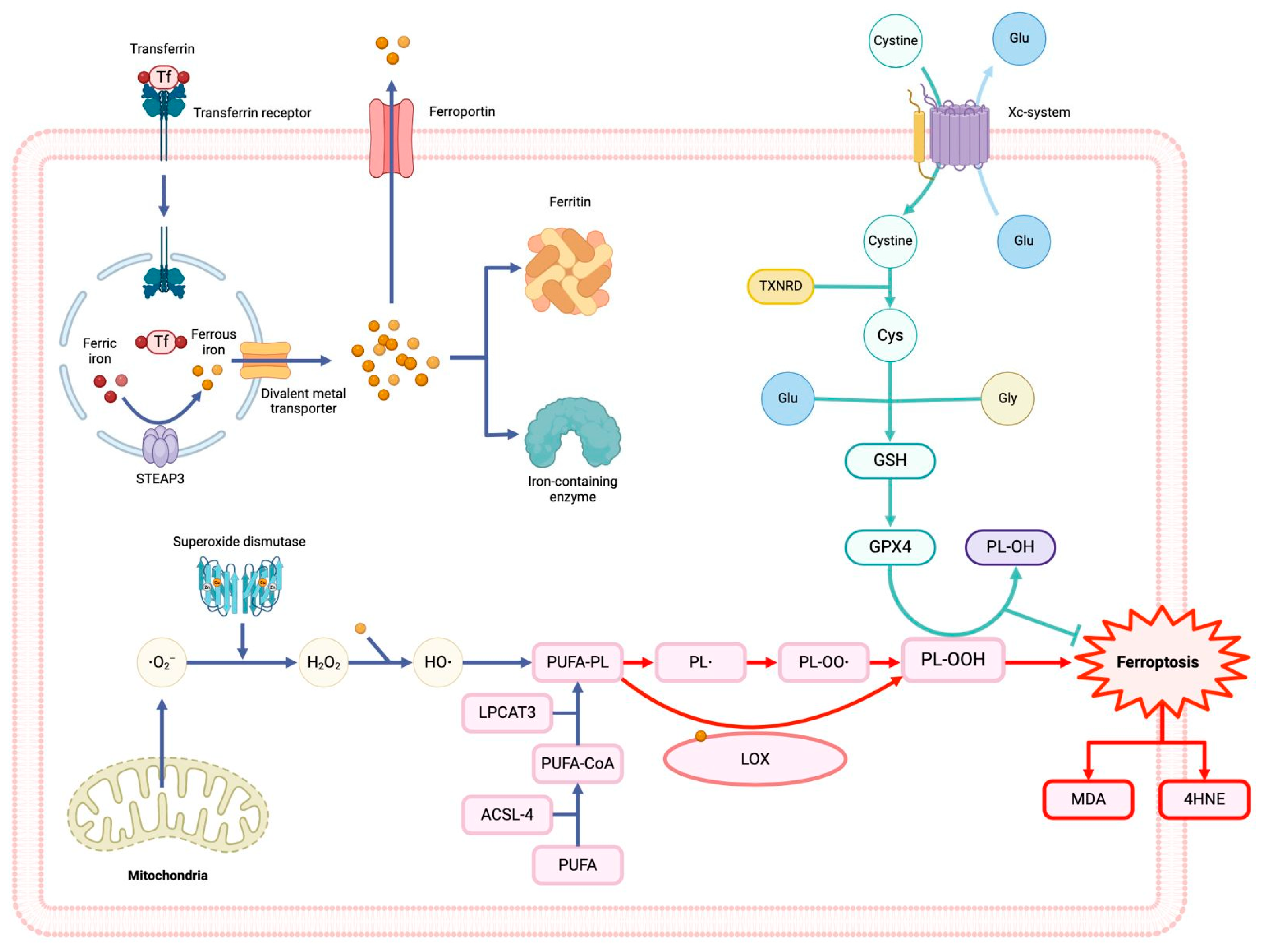 Preprints 113827 g001