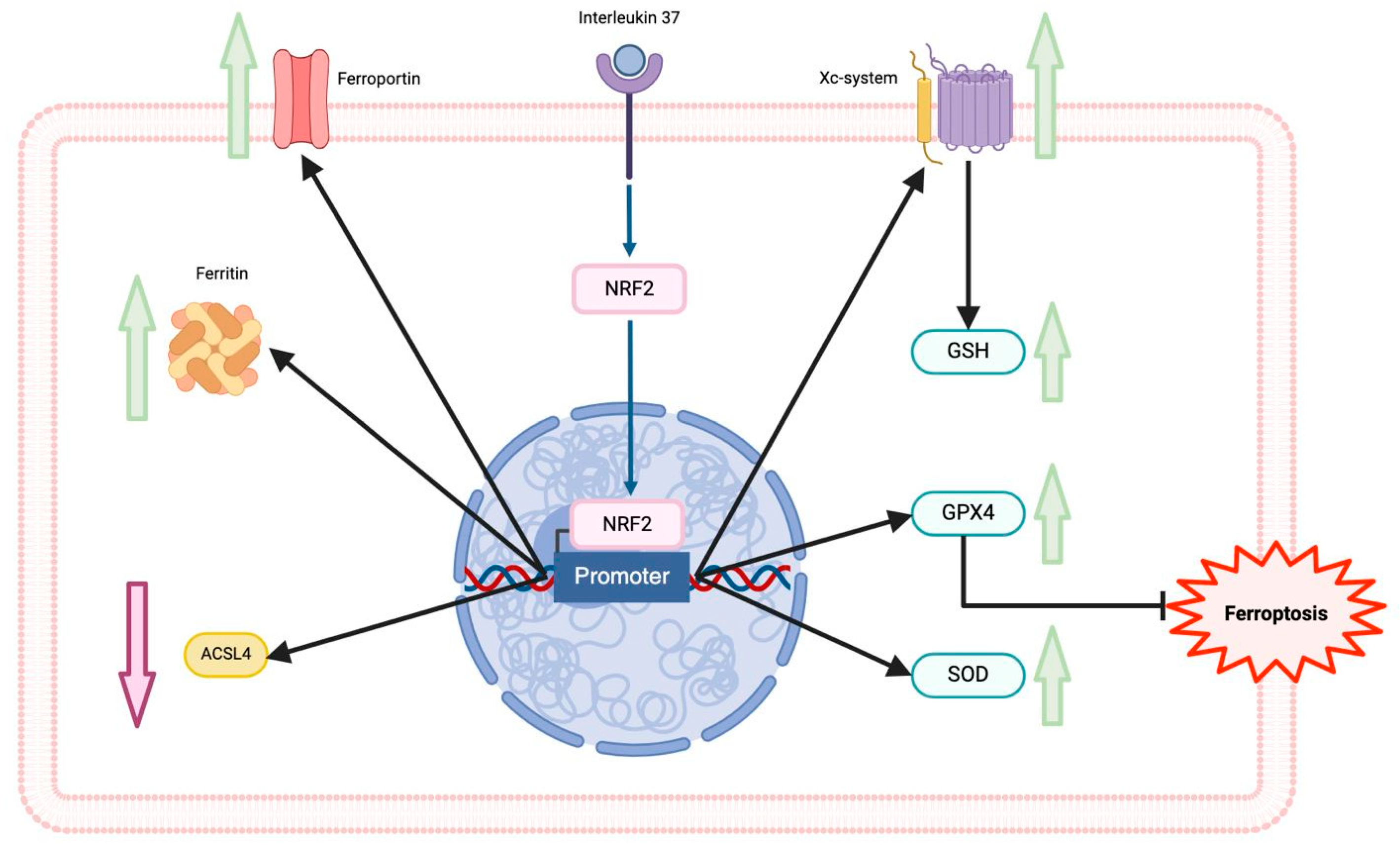 Preprints 113827 g002