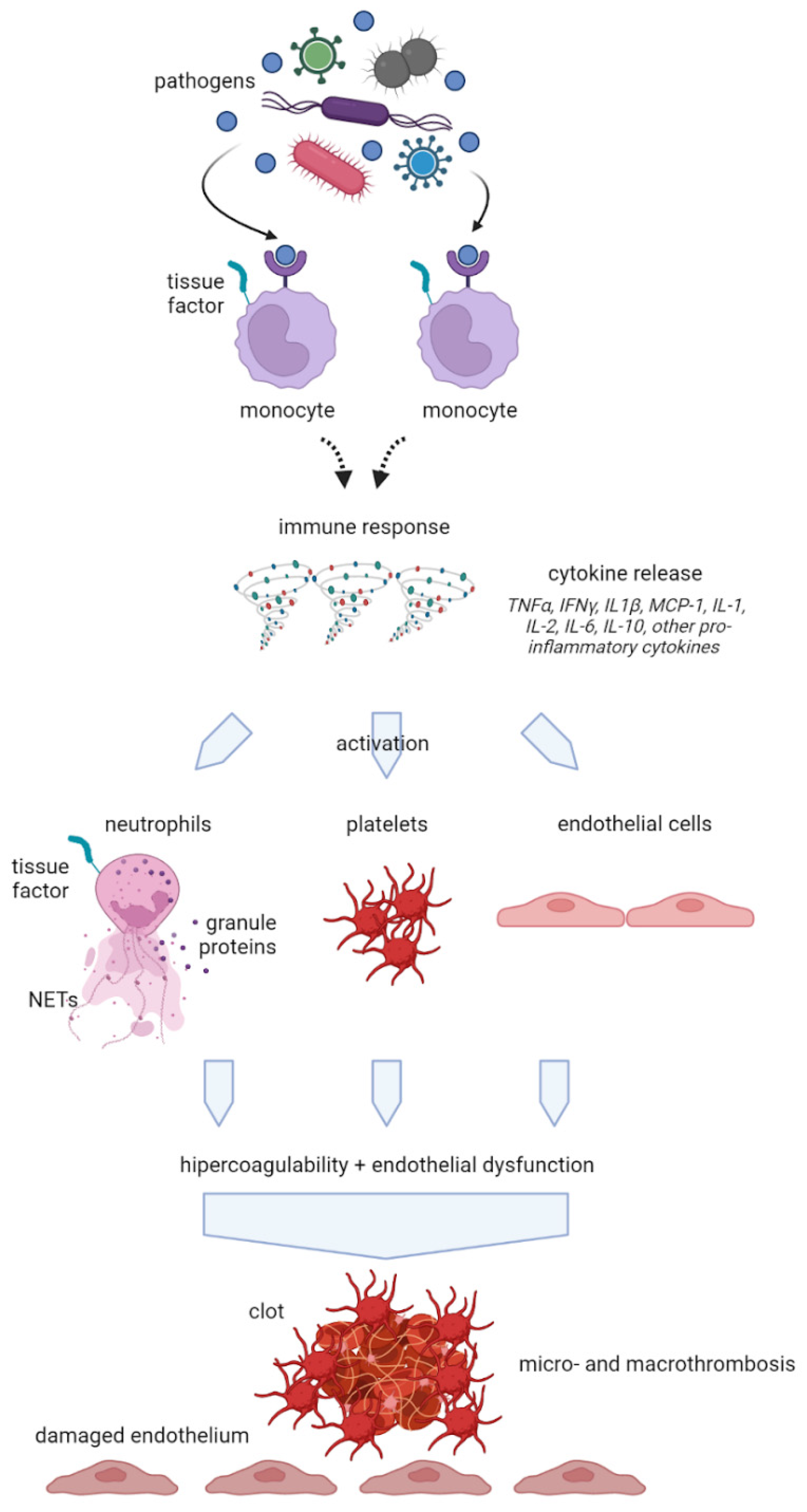 Preprints 71985 g001