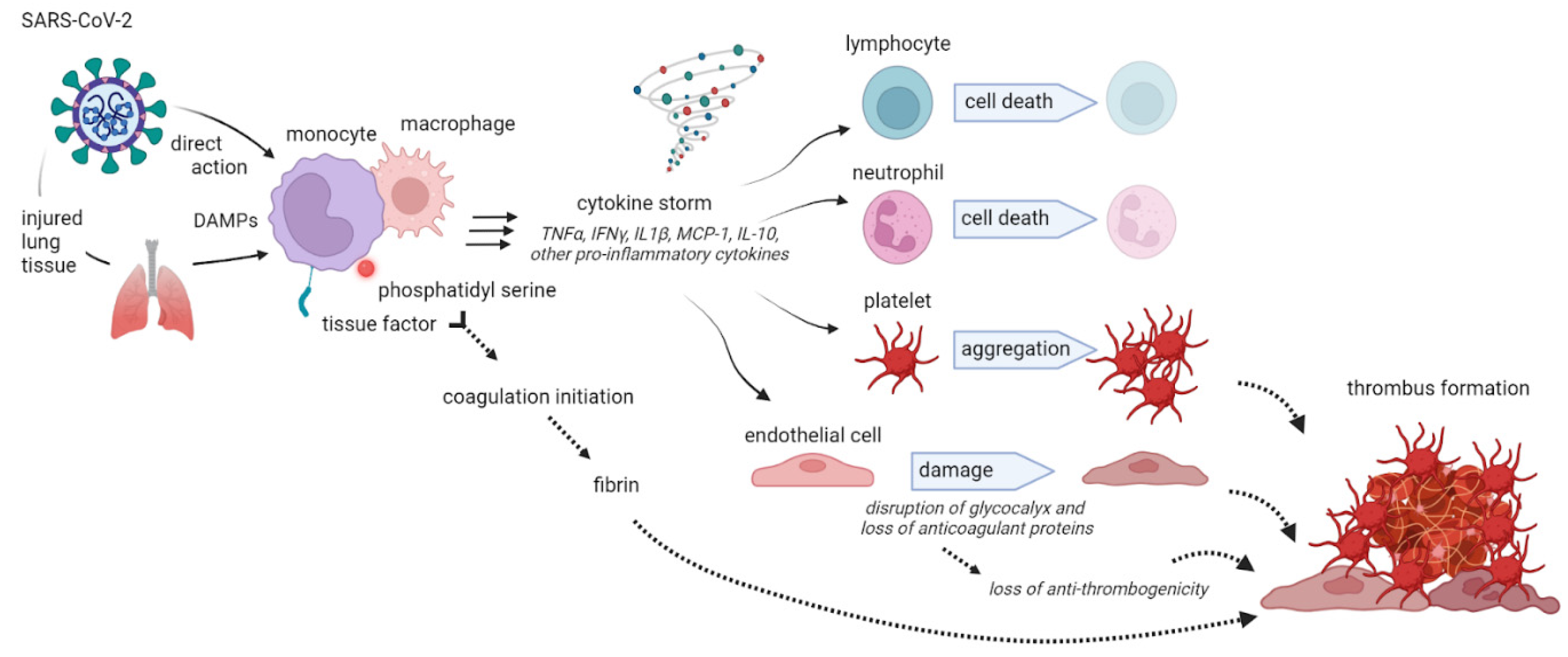 Preprints 71985 g003