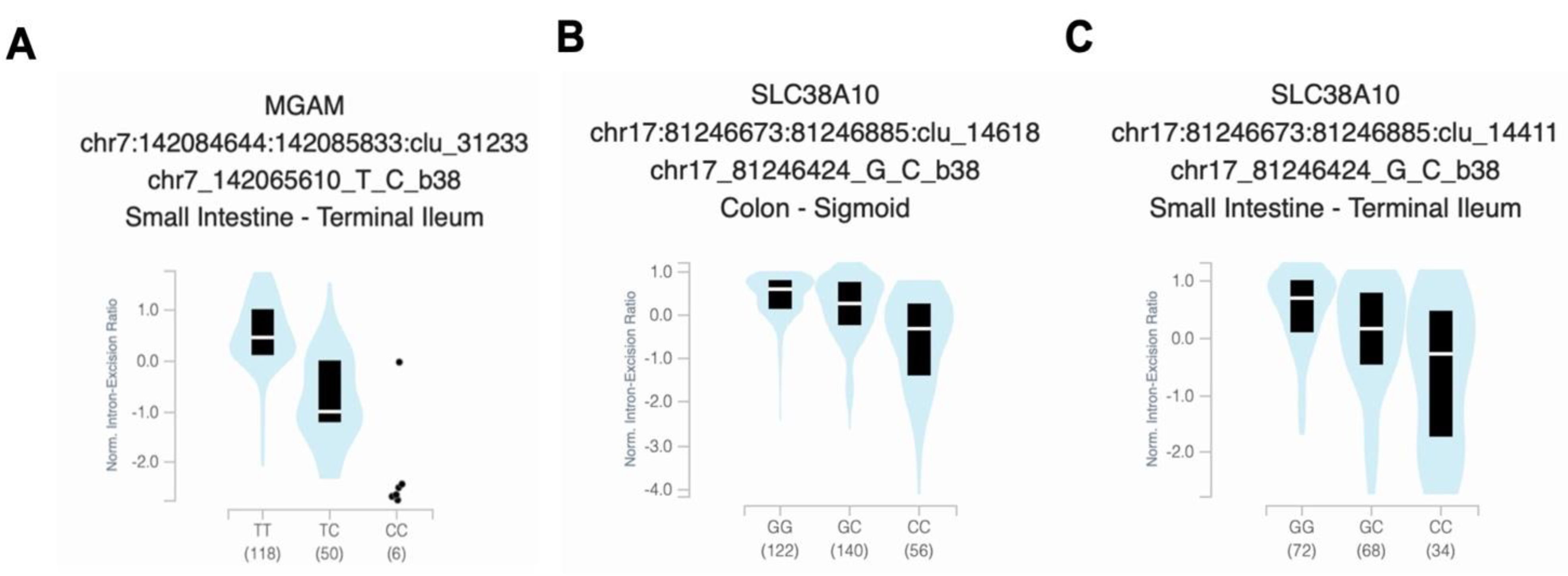 Preprints 75412 g003