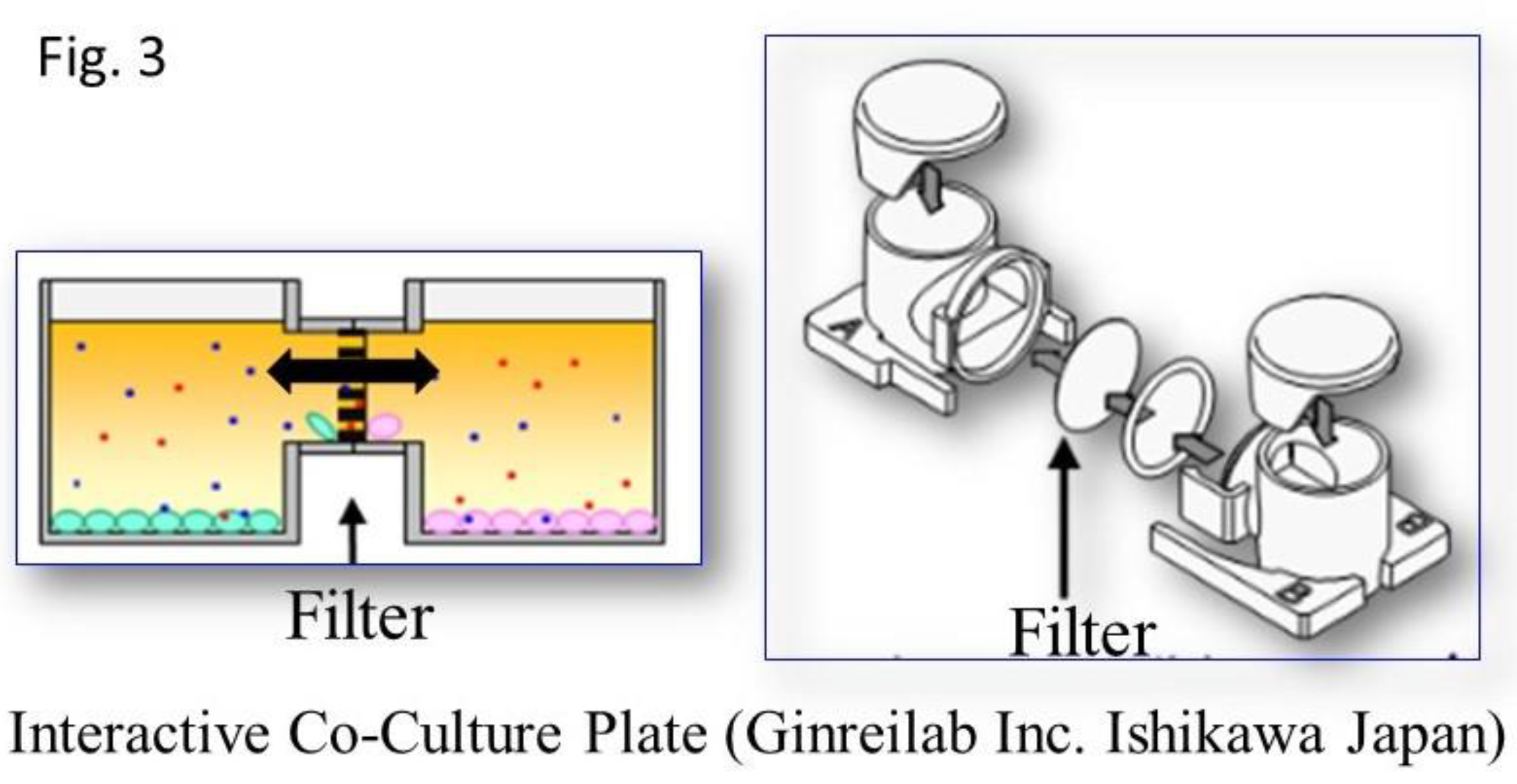 Preprints 113773 g003