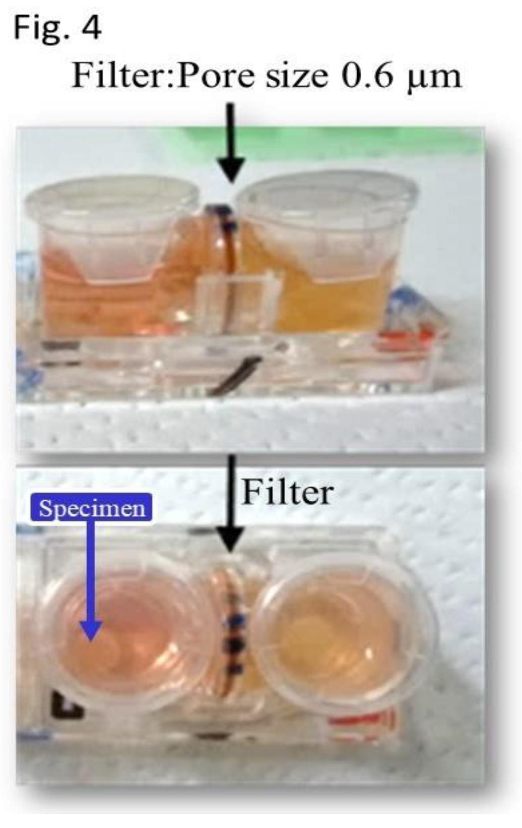 Preprints 113773 g004