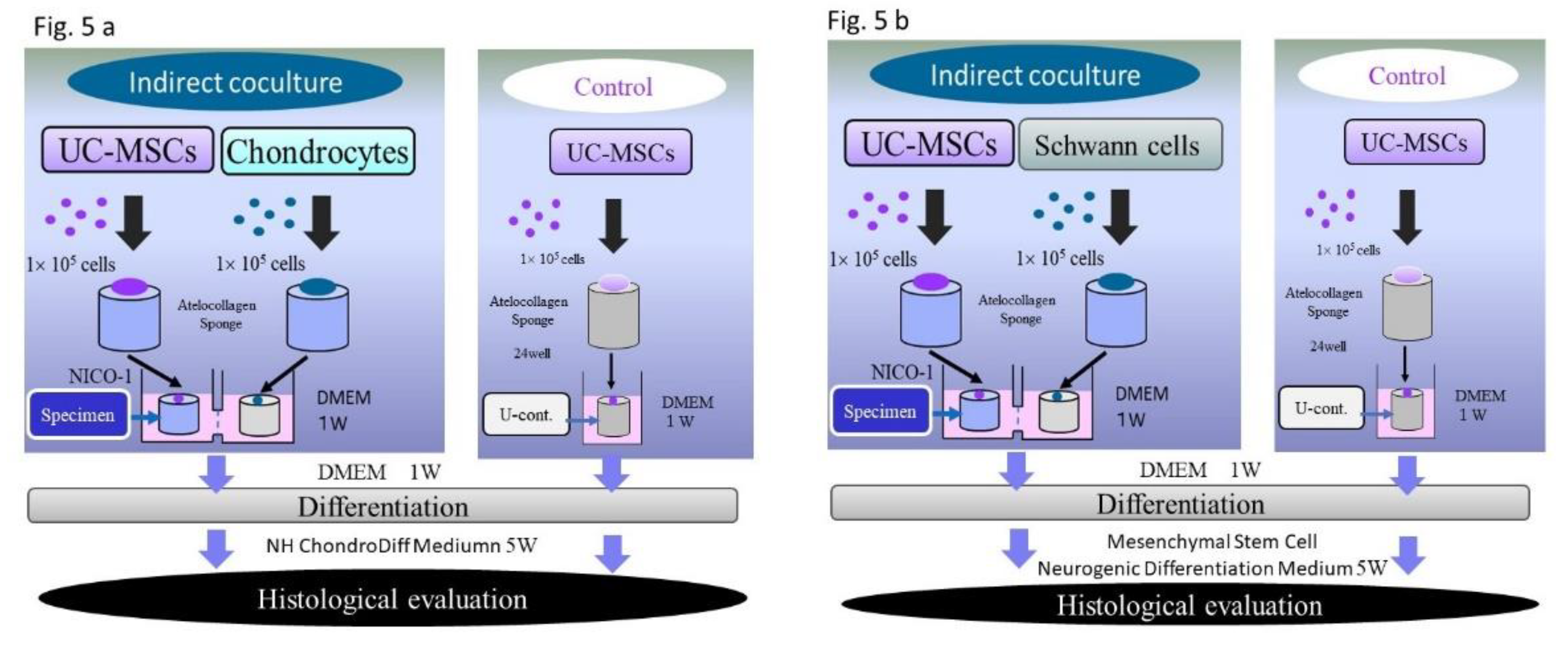 Preprints 113773 g005