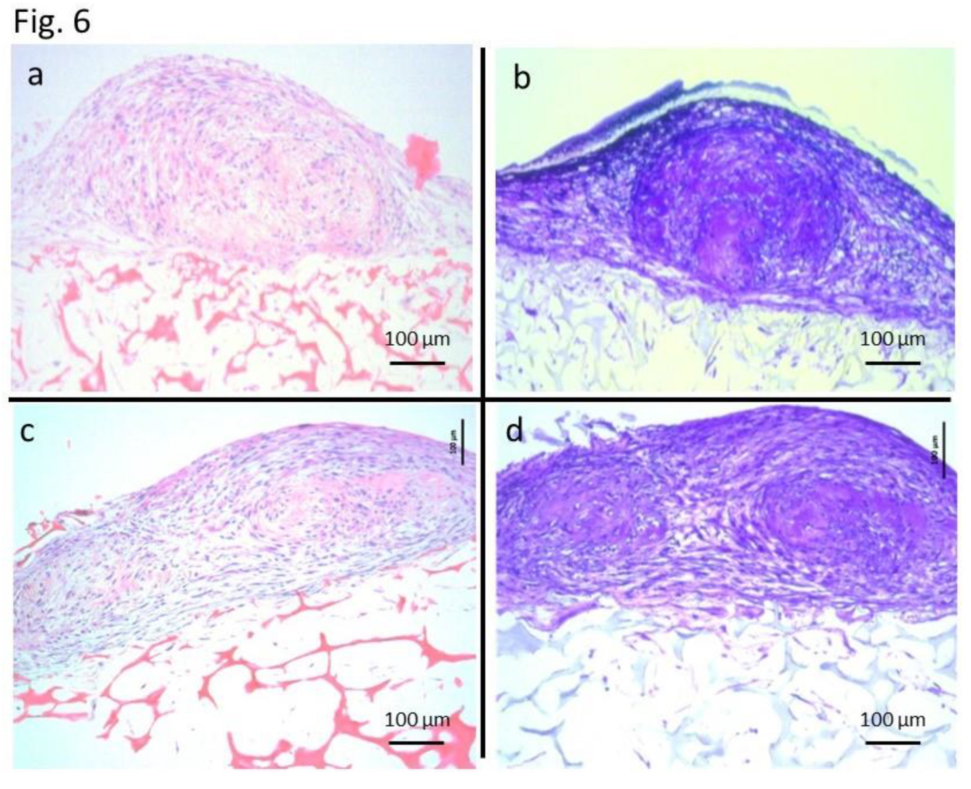 Preprints 113773 g006