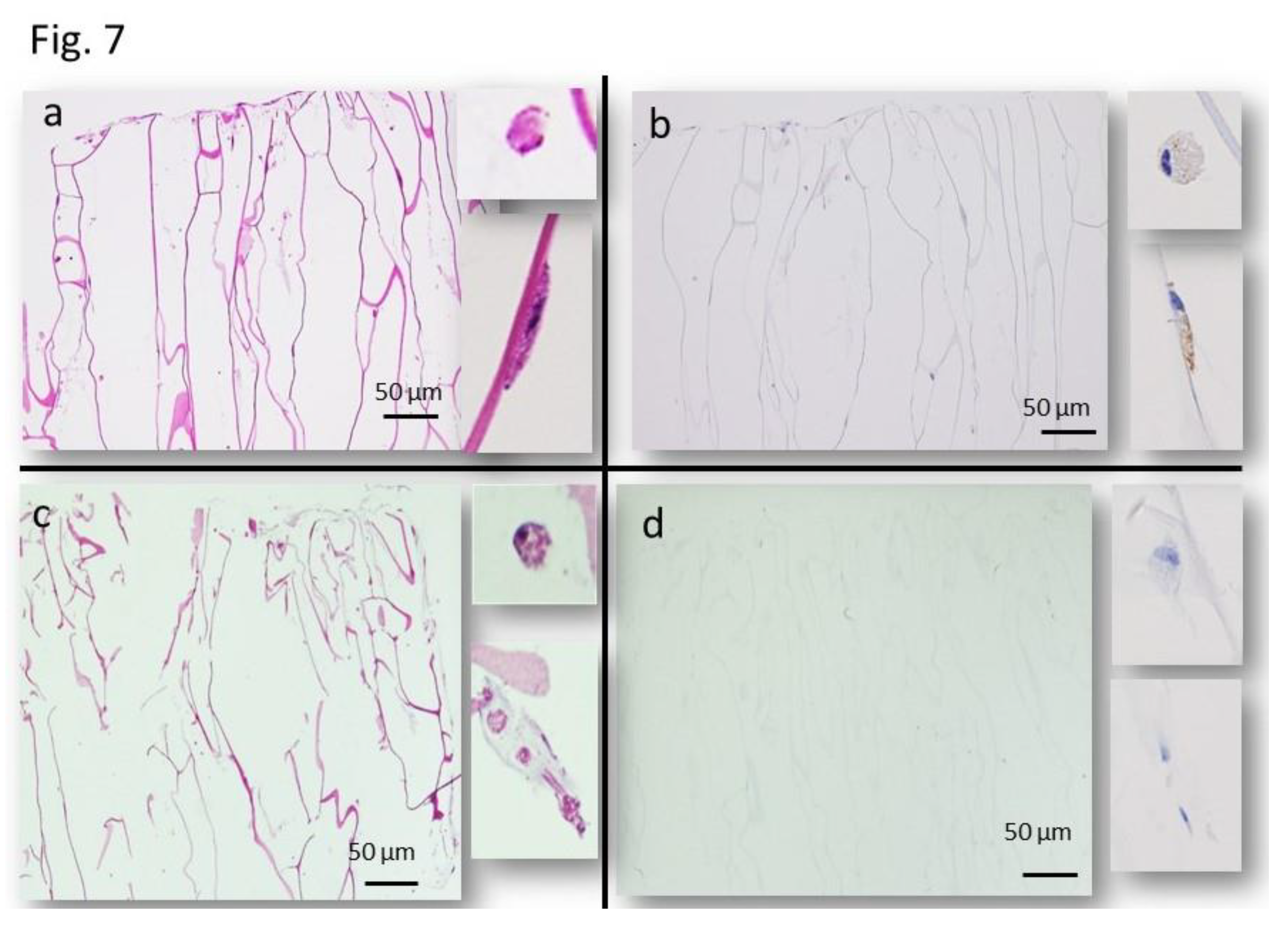 Preprints 113773 g007