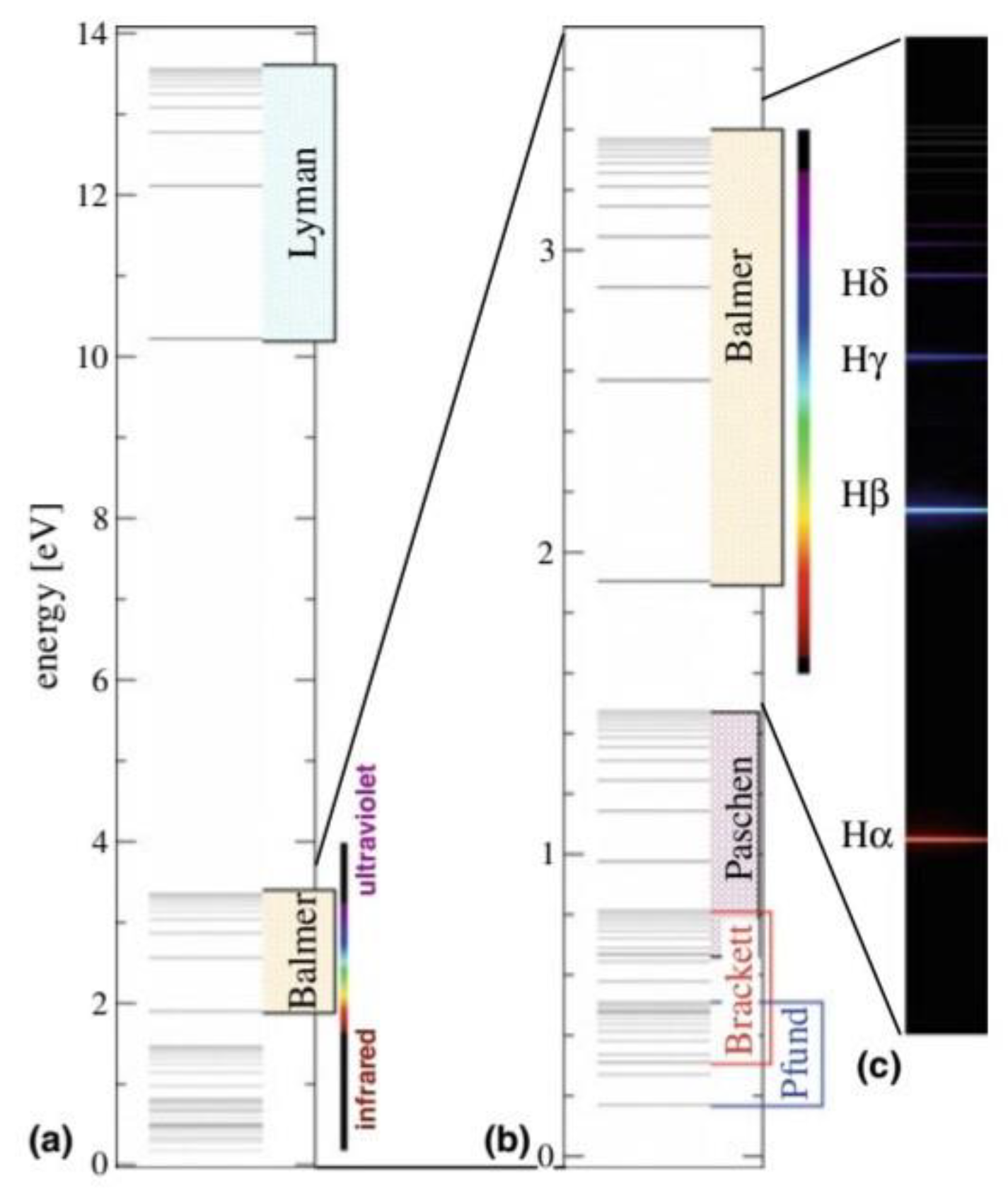 Preprints 118721 g002