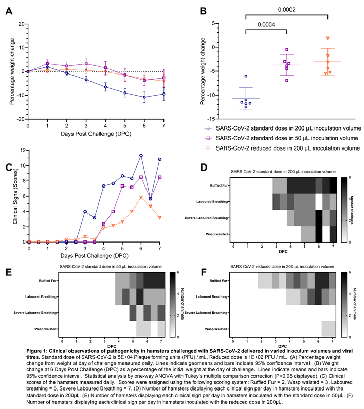 Preprints 67952 i001