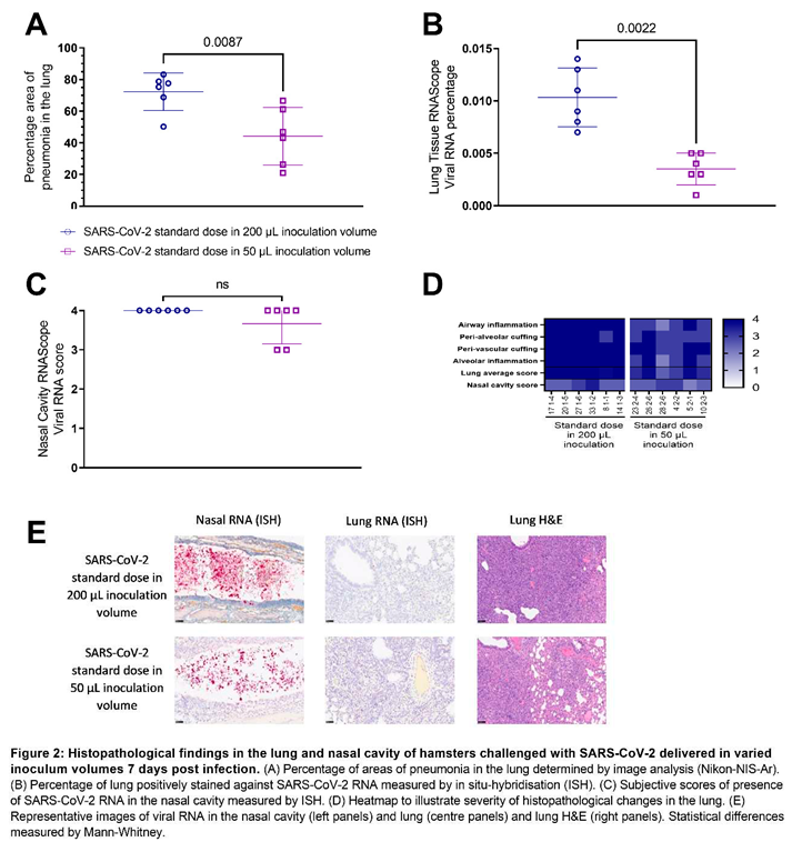 Preprints 67952 i002