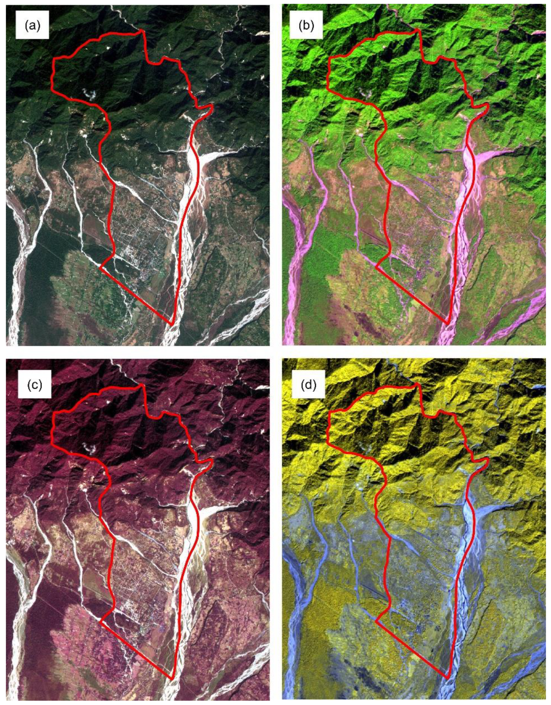 Preprints 91635 g003