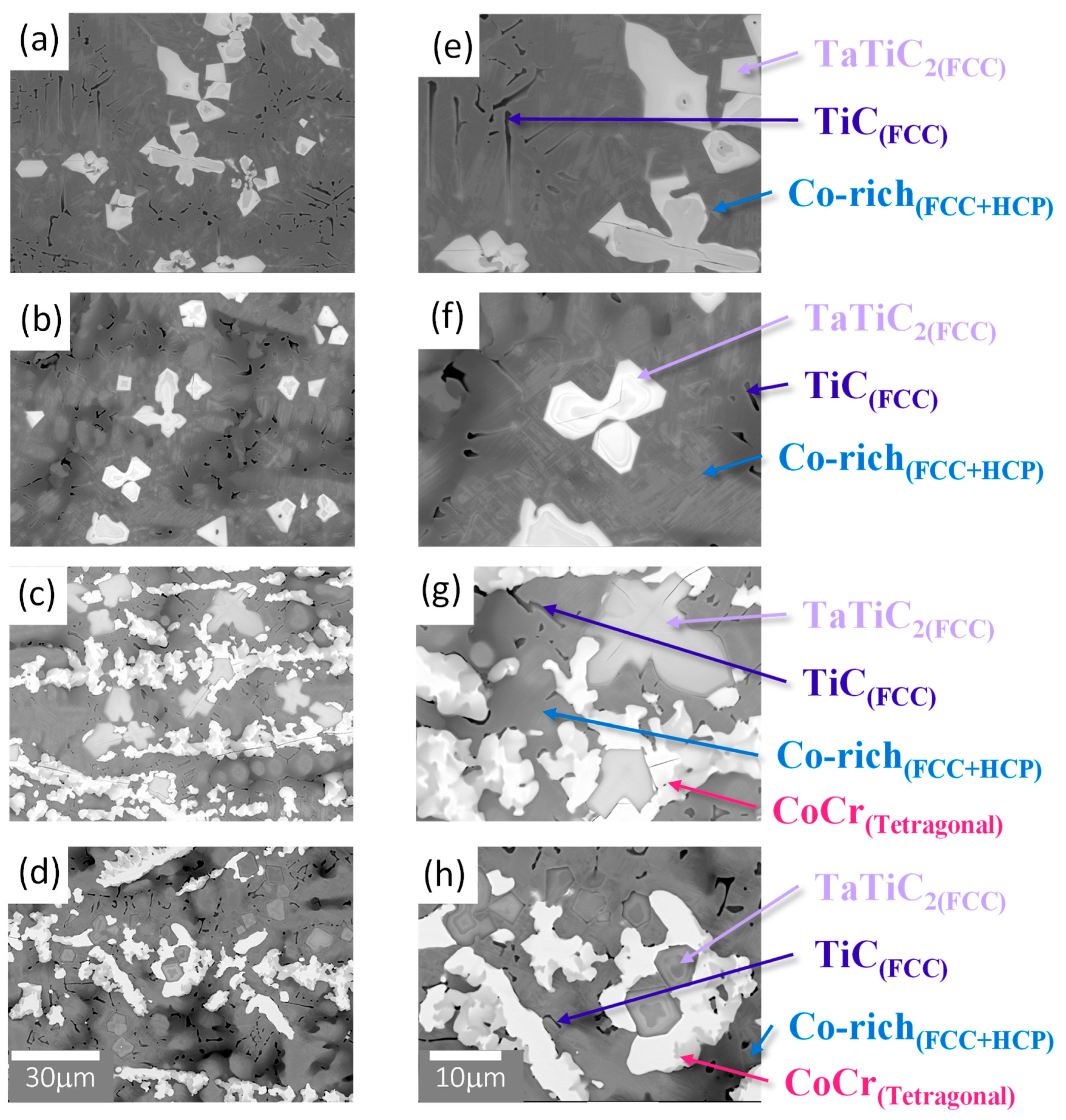 Preprints 90661 g001