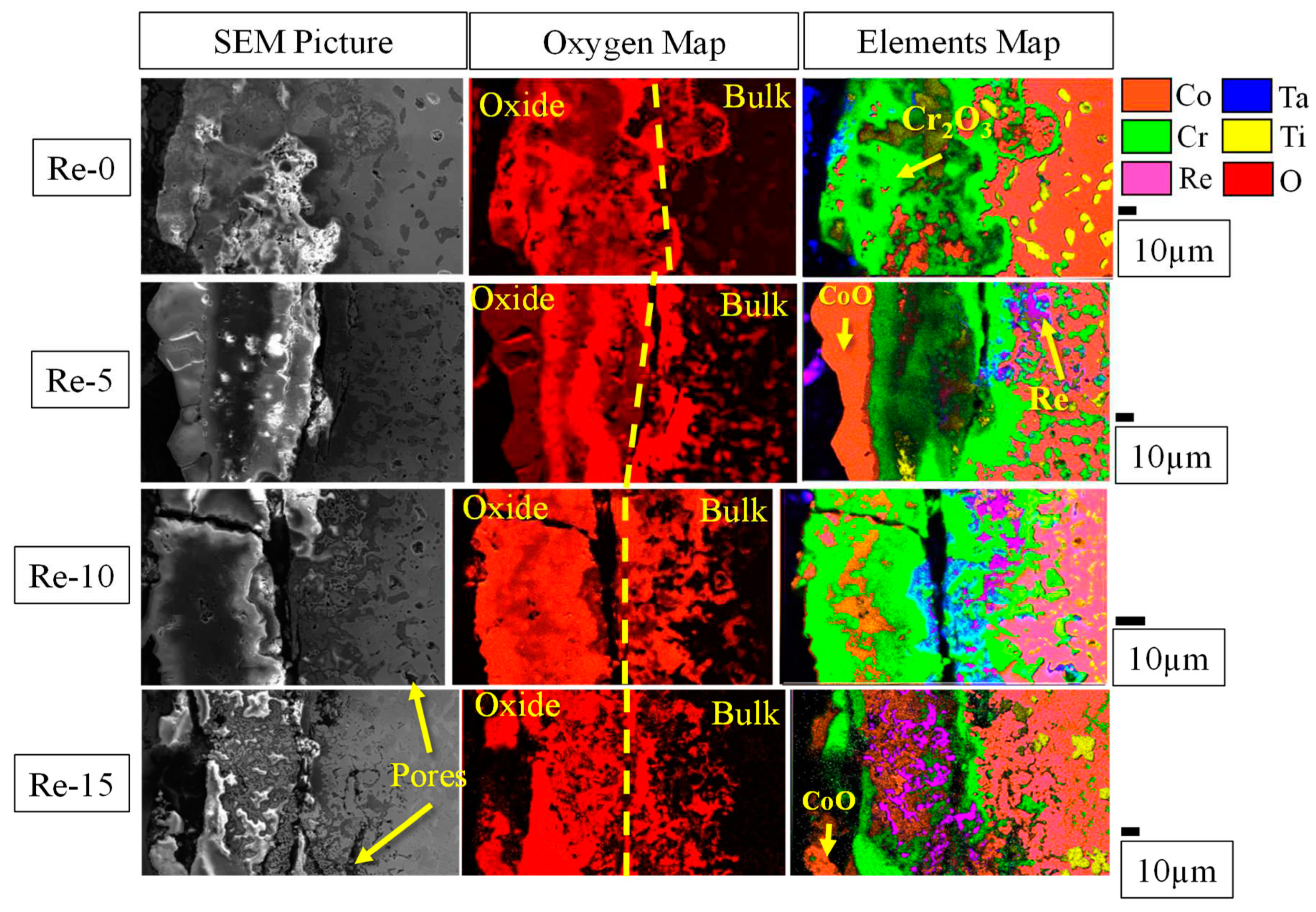 Preprints 90661 g007