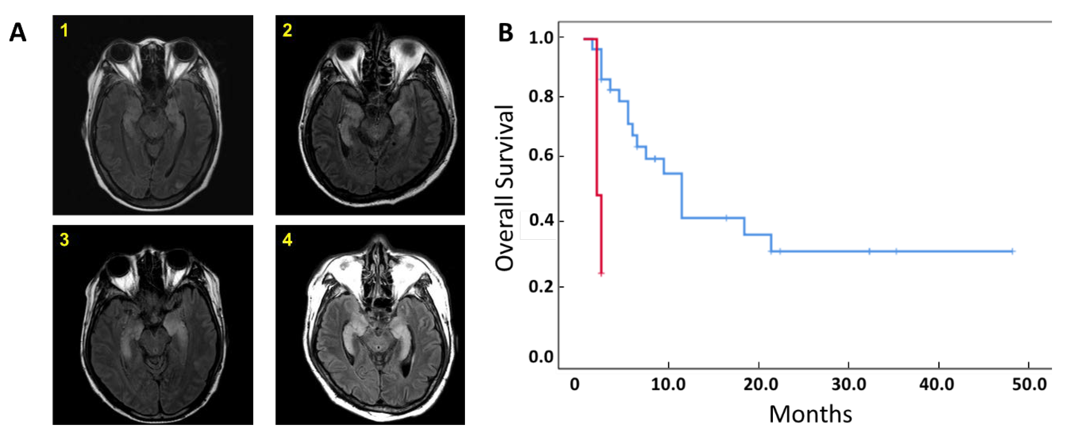 Preprints 73143 g001