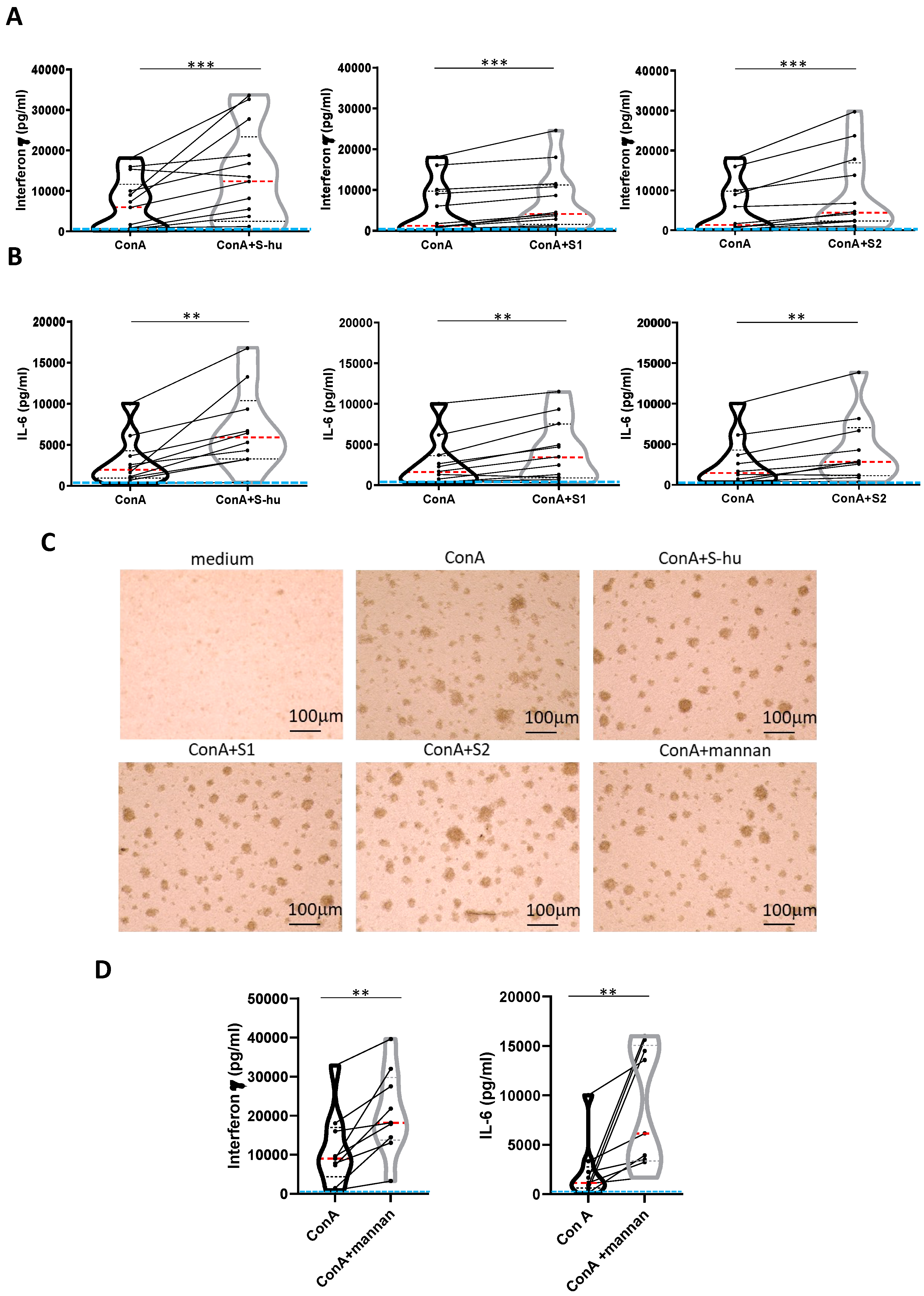 Preprints 98470 g003