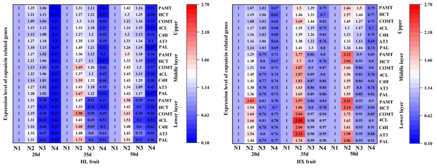 Preprints 108965 g008