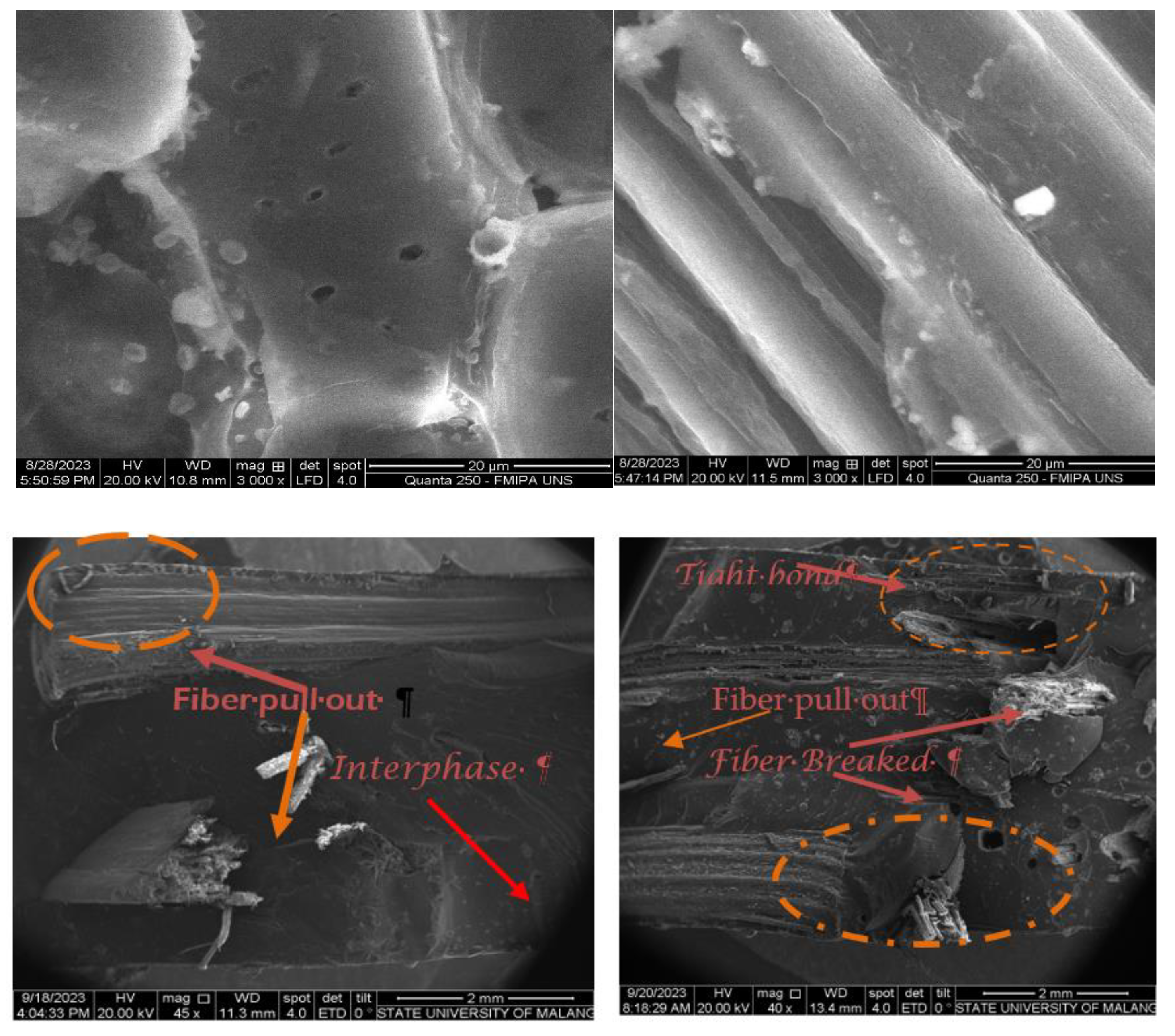 Preprints 87392 g006