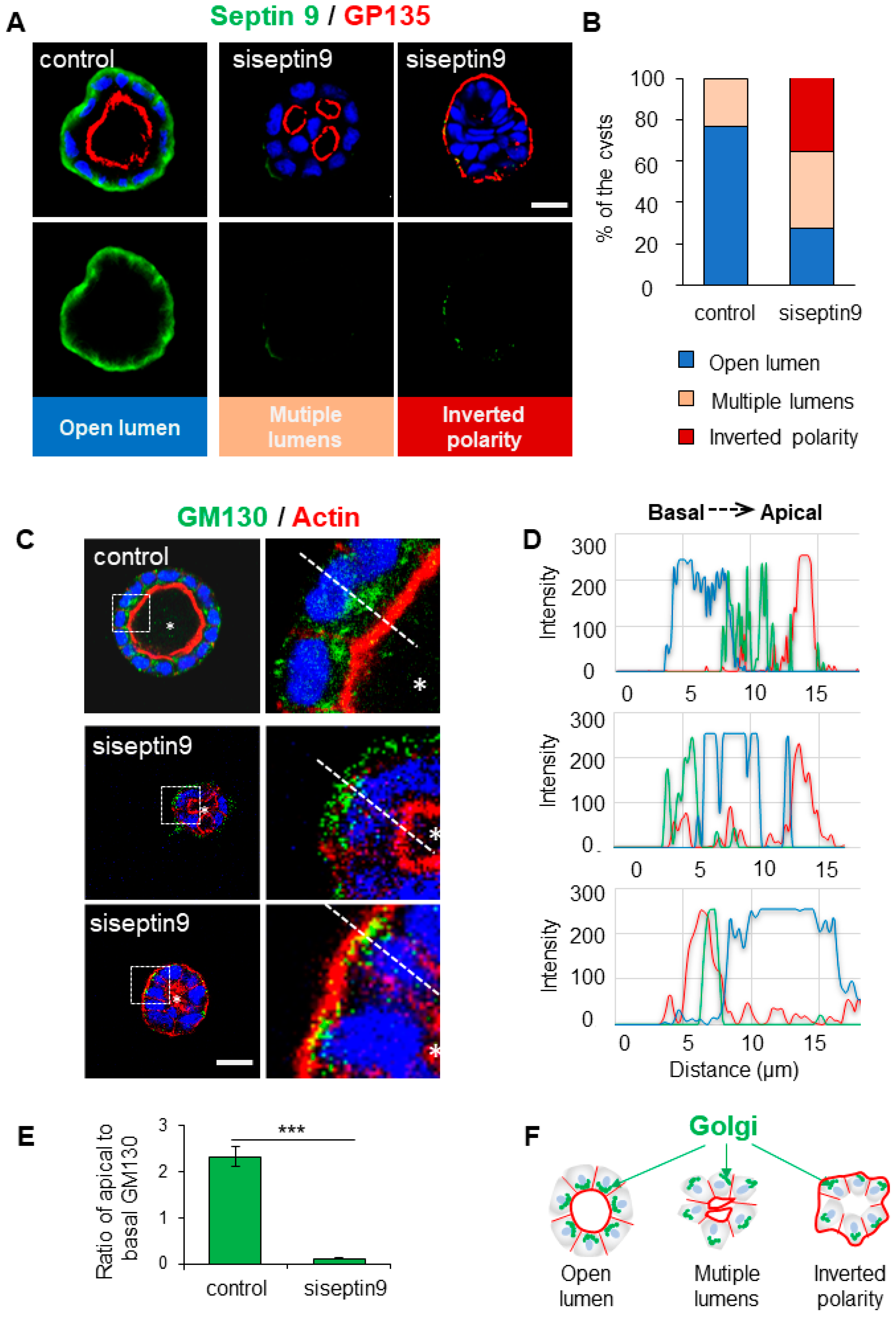 Preprints 76362 g001