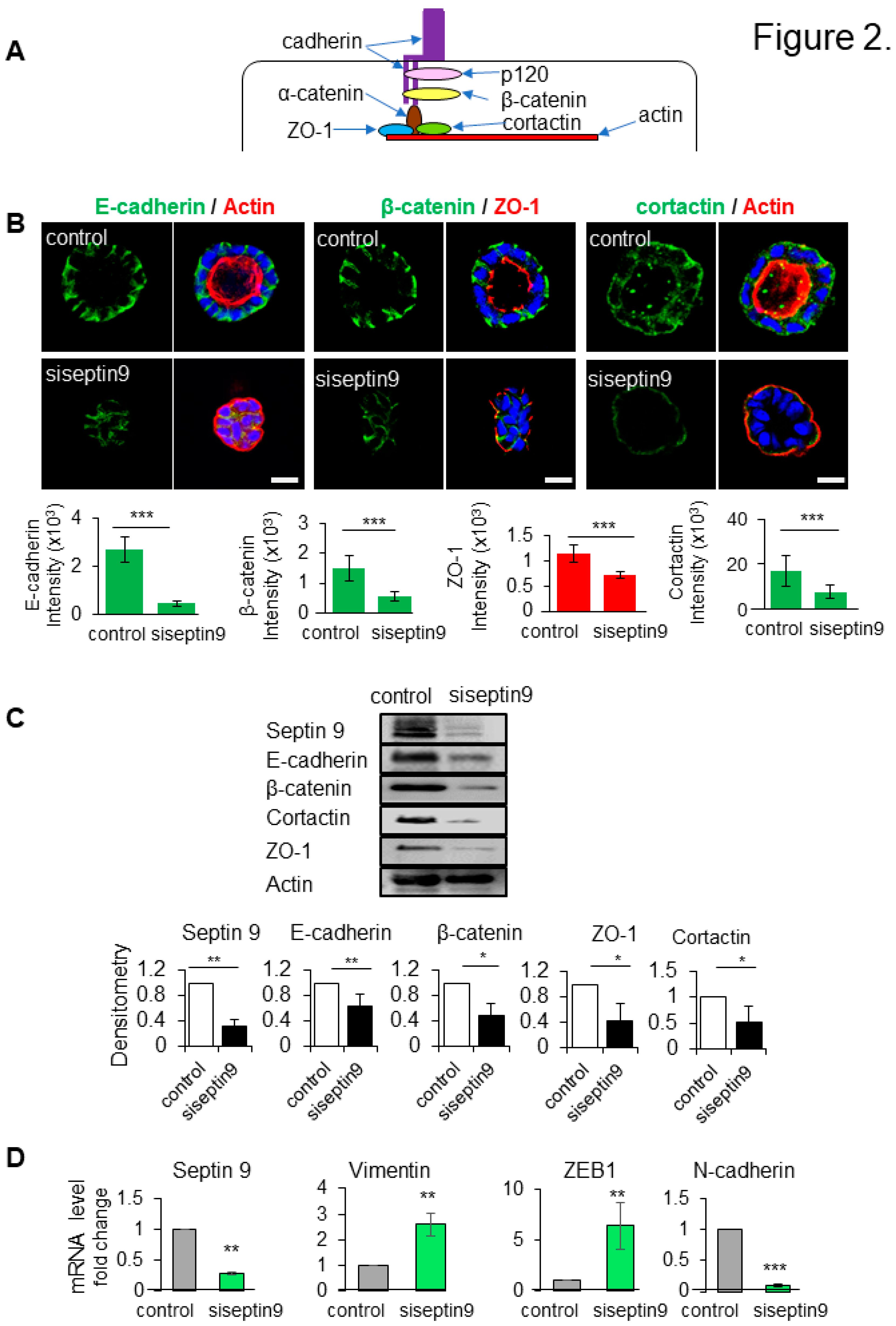 Preprints 76362 g002