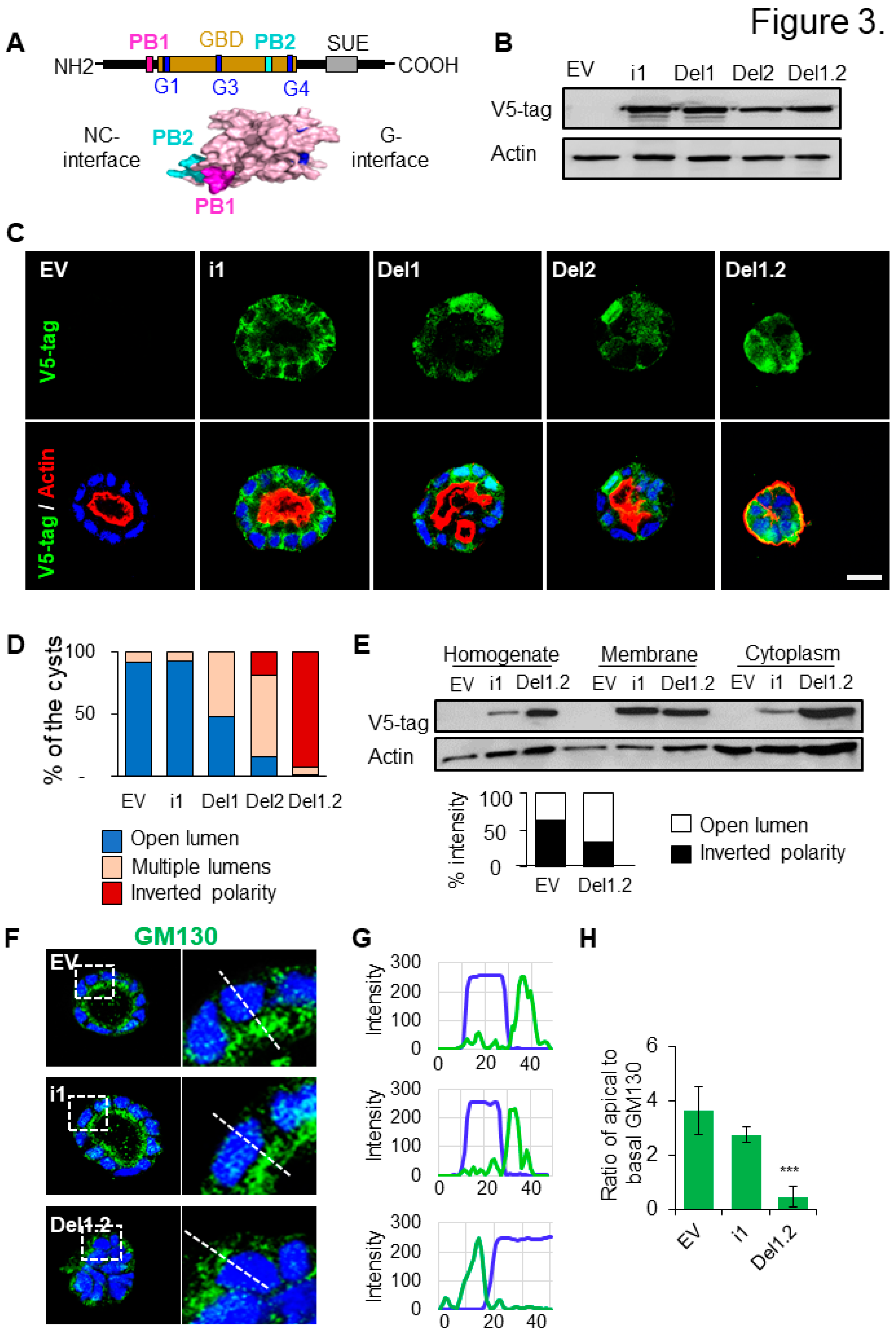 Preprints 76362 g003