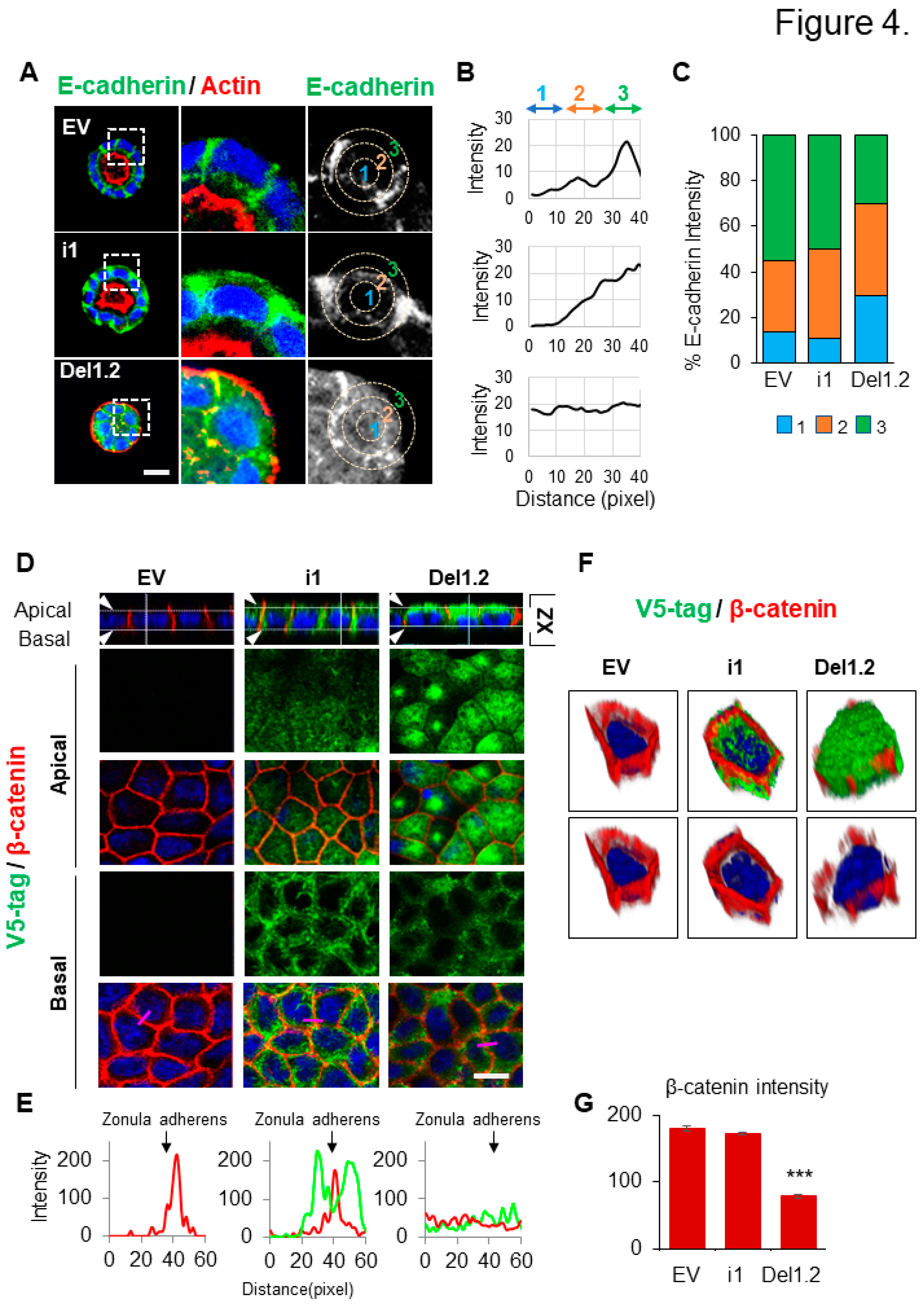 Preprints 76362 g004