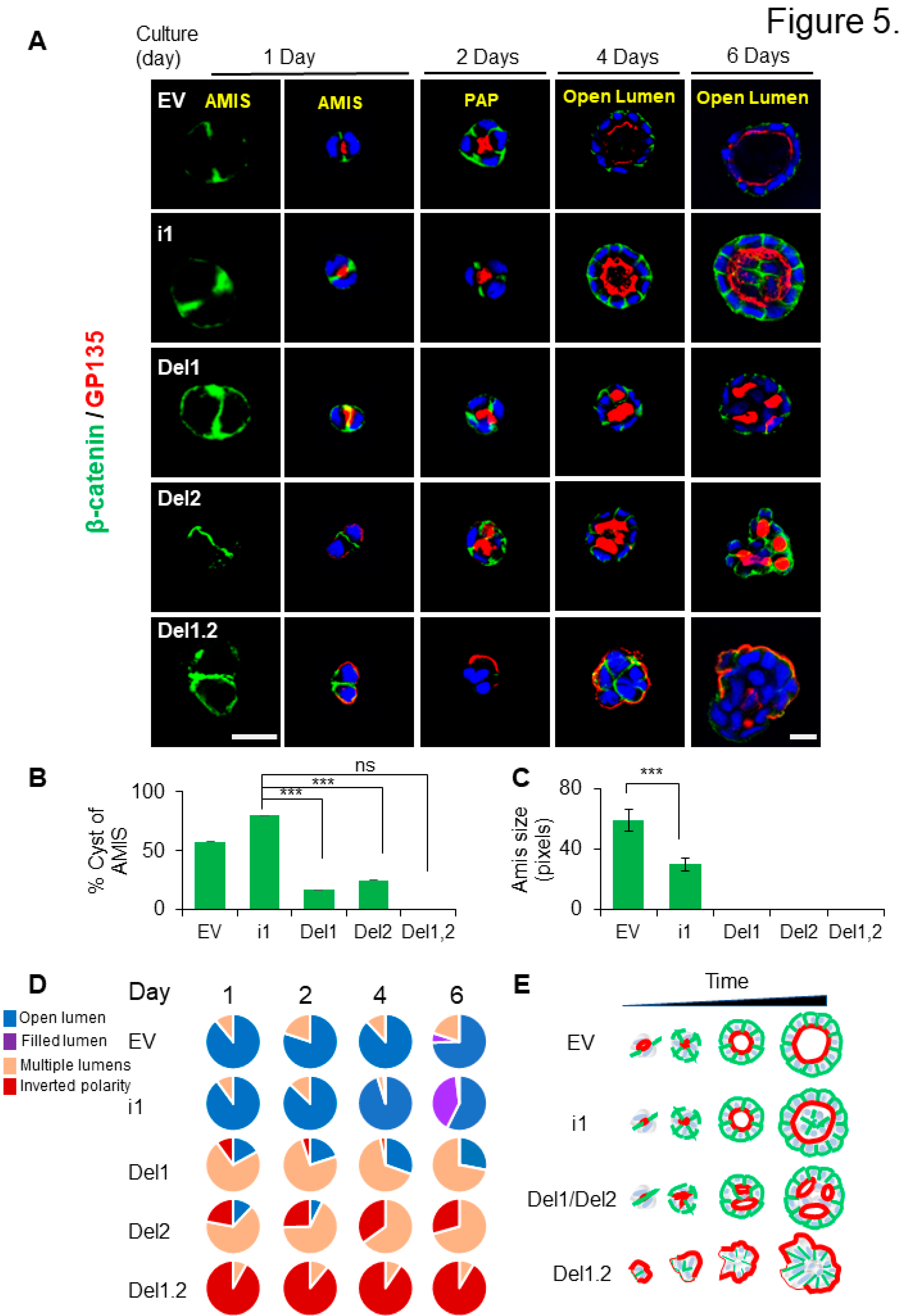 Preprints 76362 g005