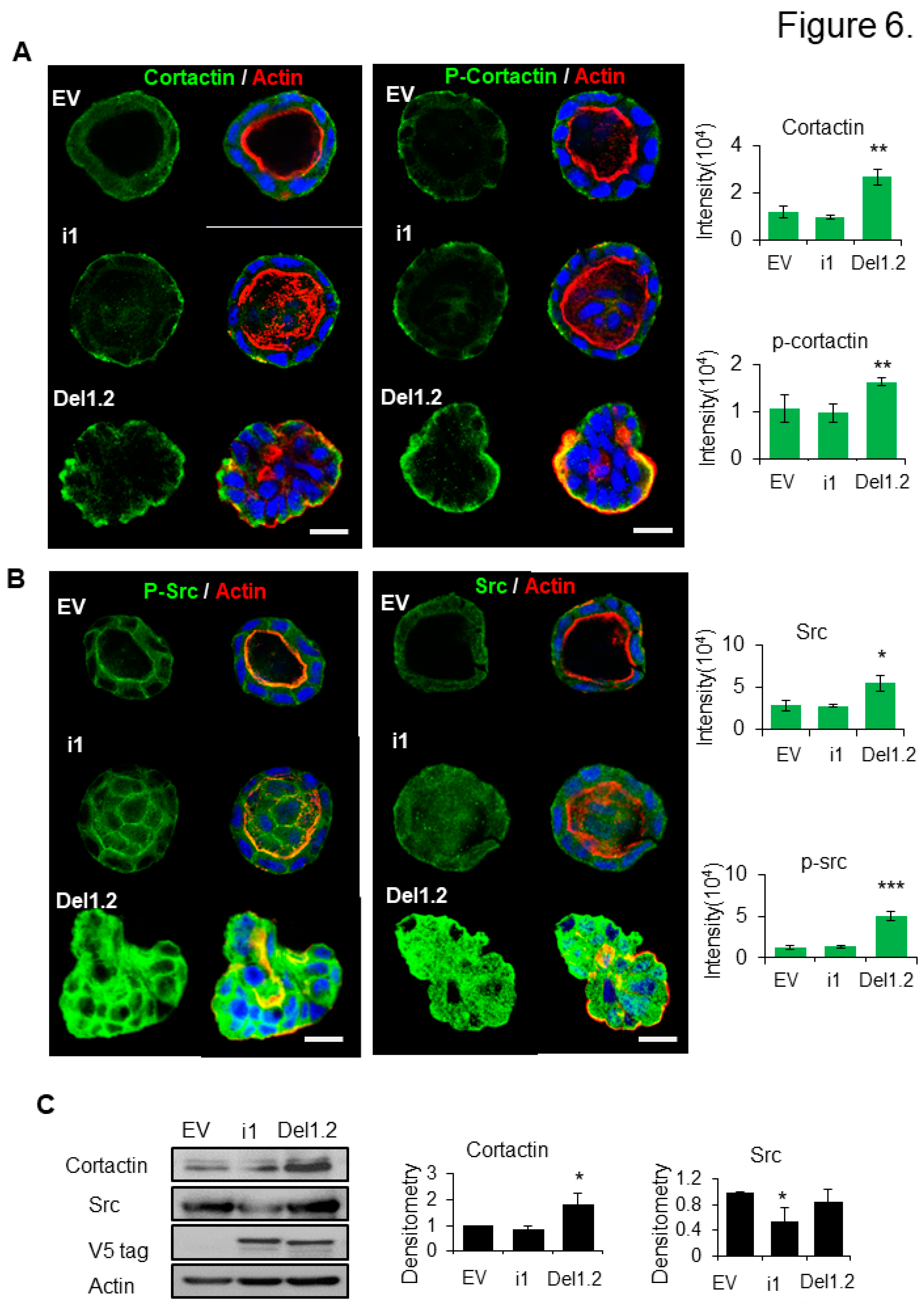 Preprints 76362 g006