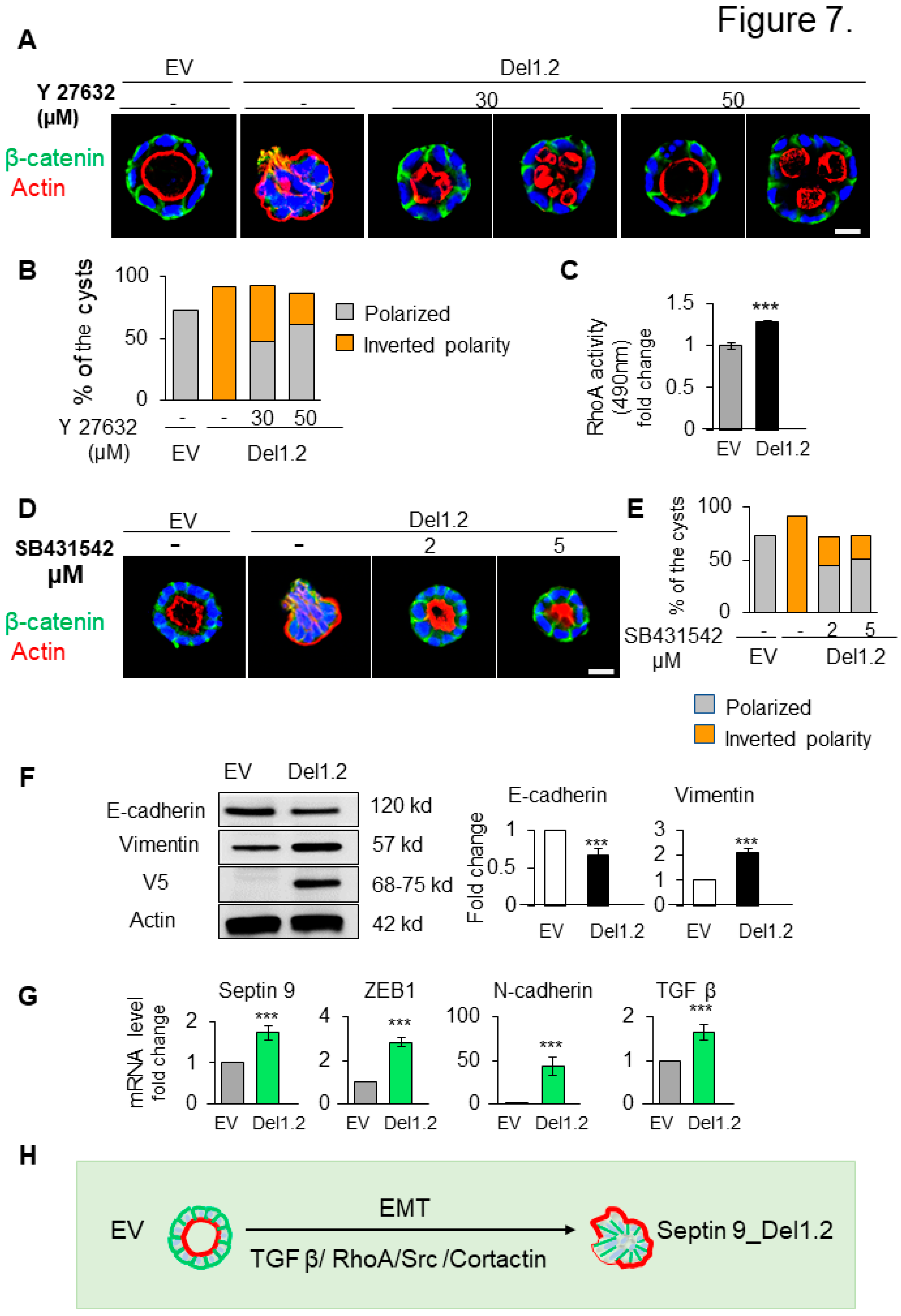 Preprints 76362 g007