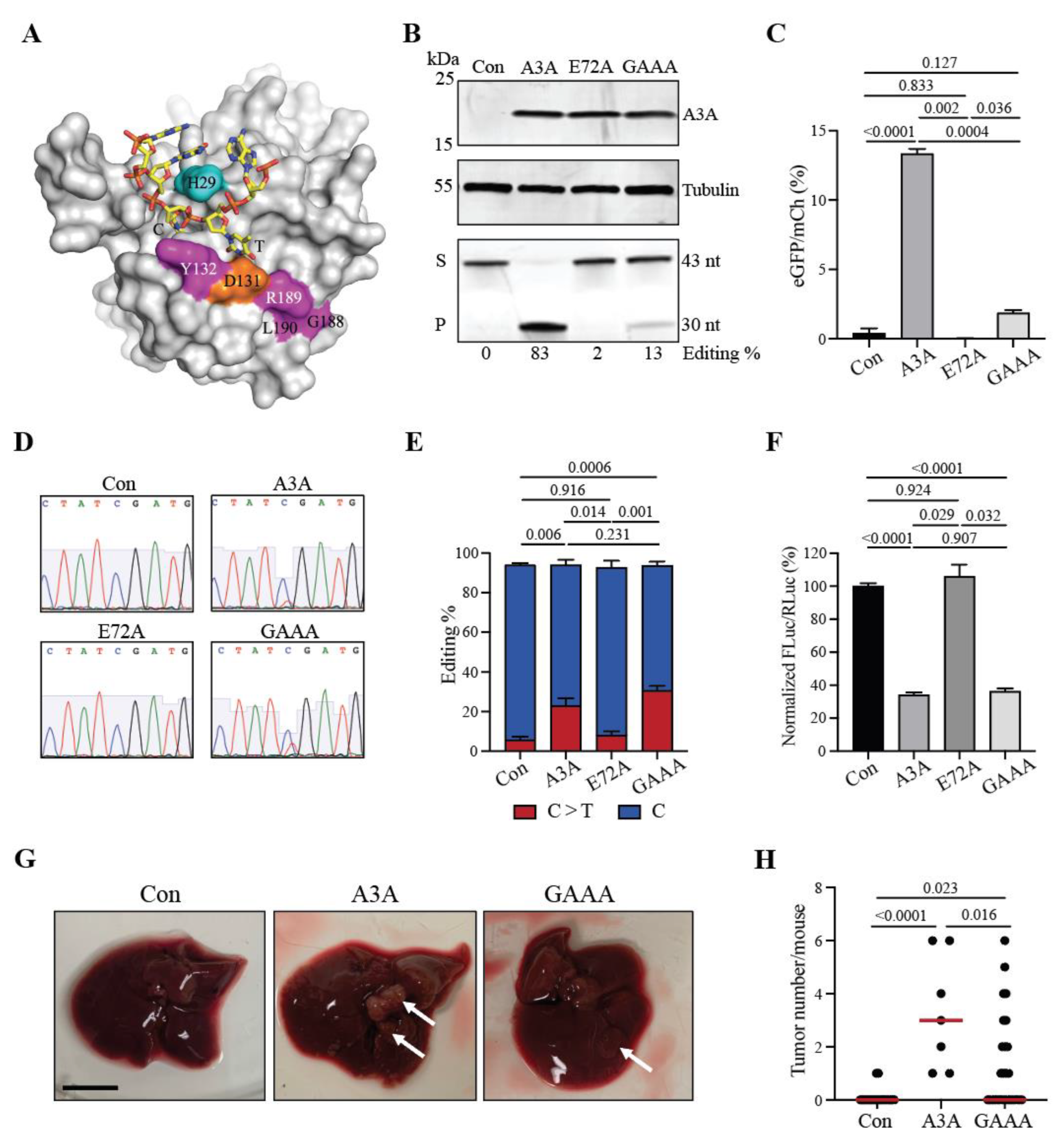 Preprints 72116 g004