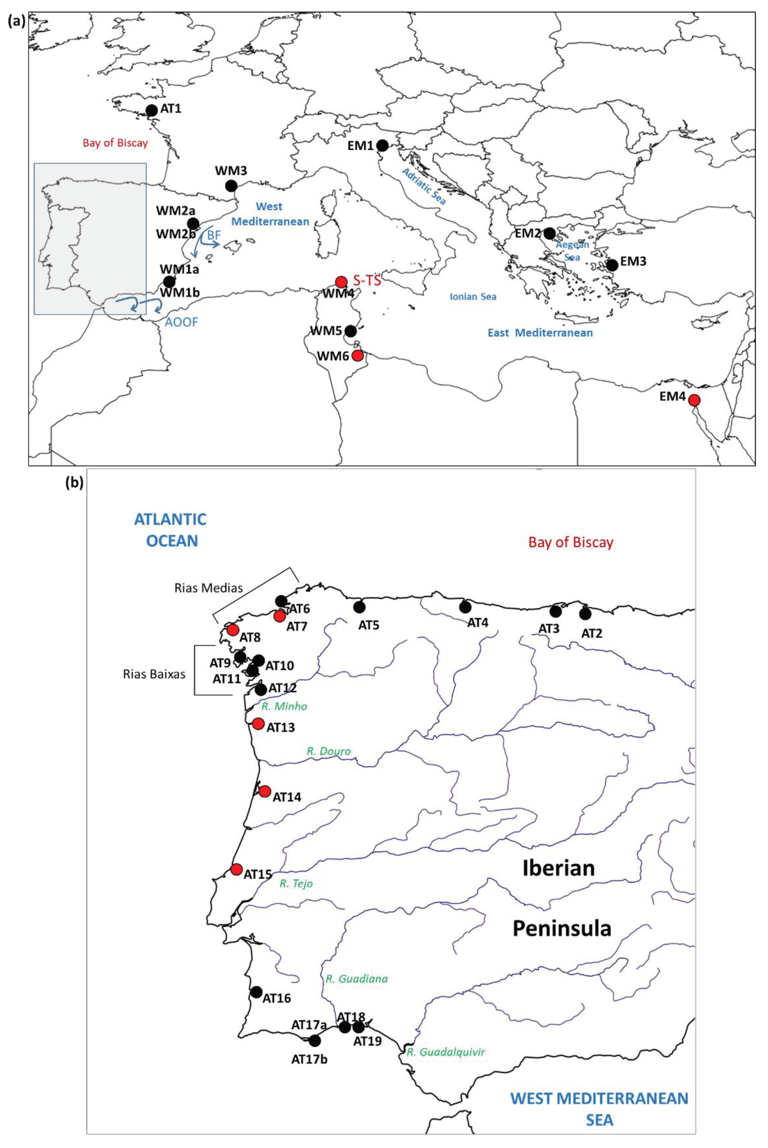 Preprints 100163 g001