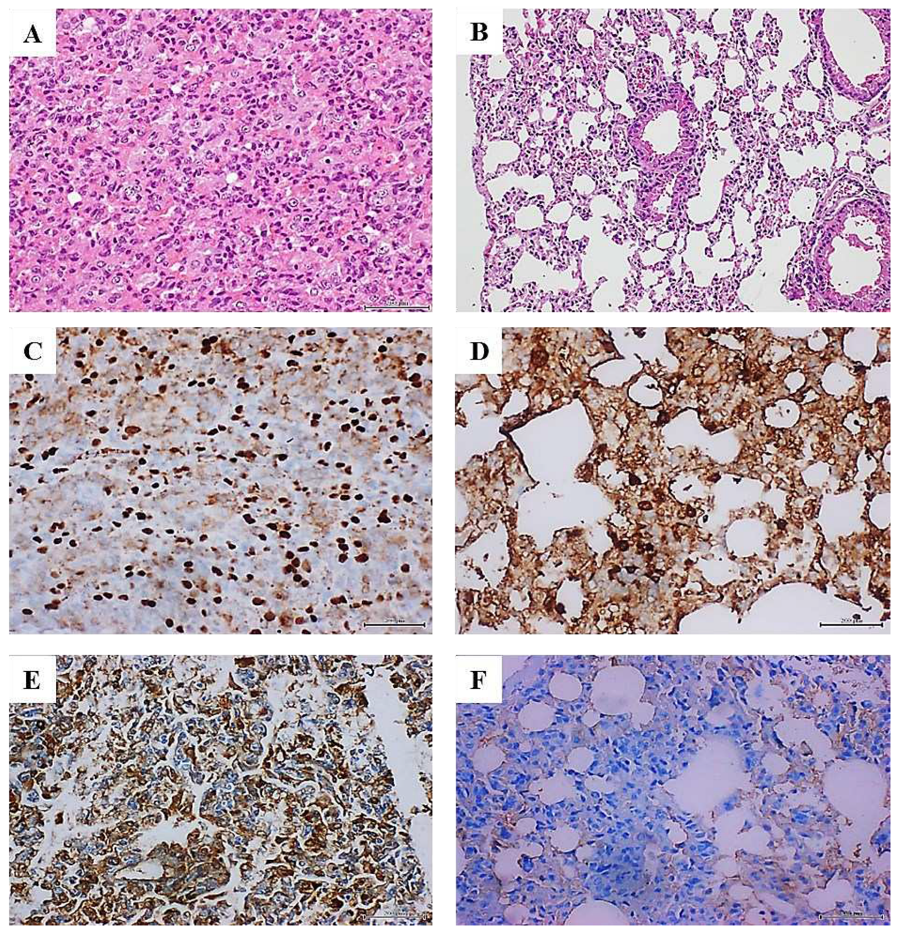 Preprints 89634 g001a