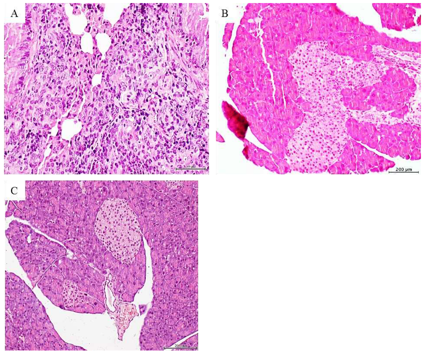 Preprints 89634 g002