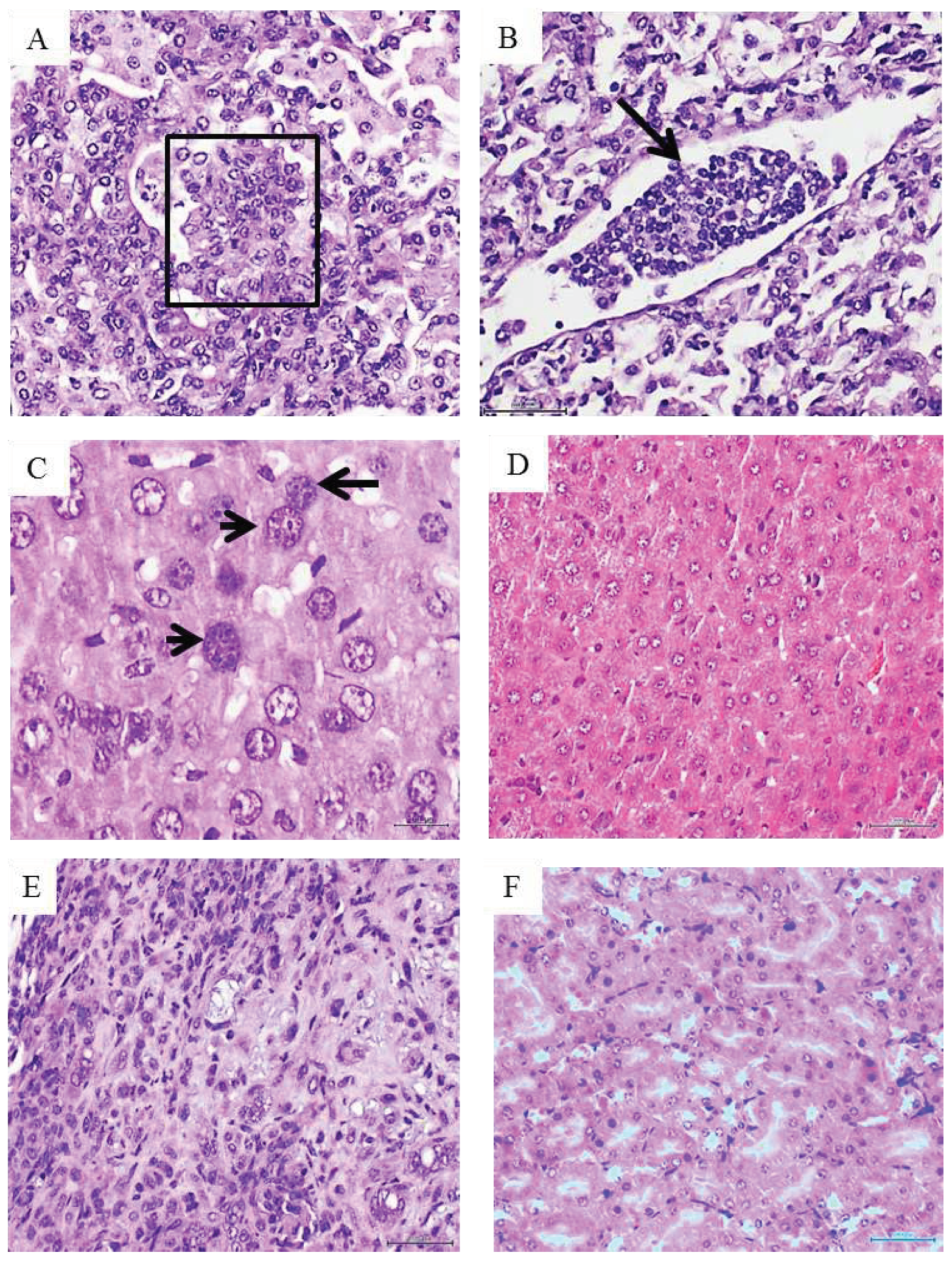 Preprints 89634 g003a