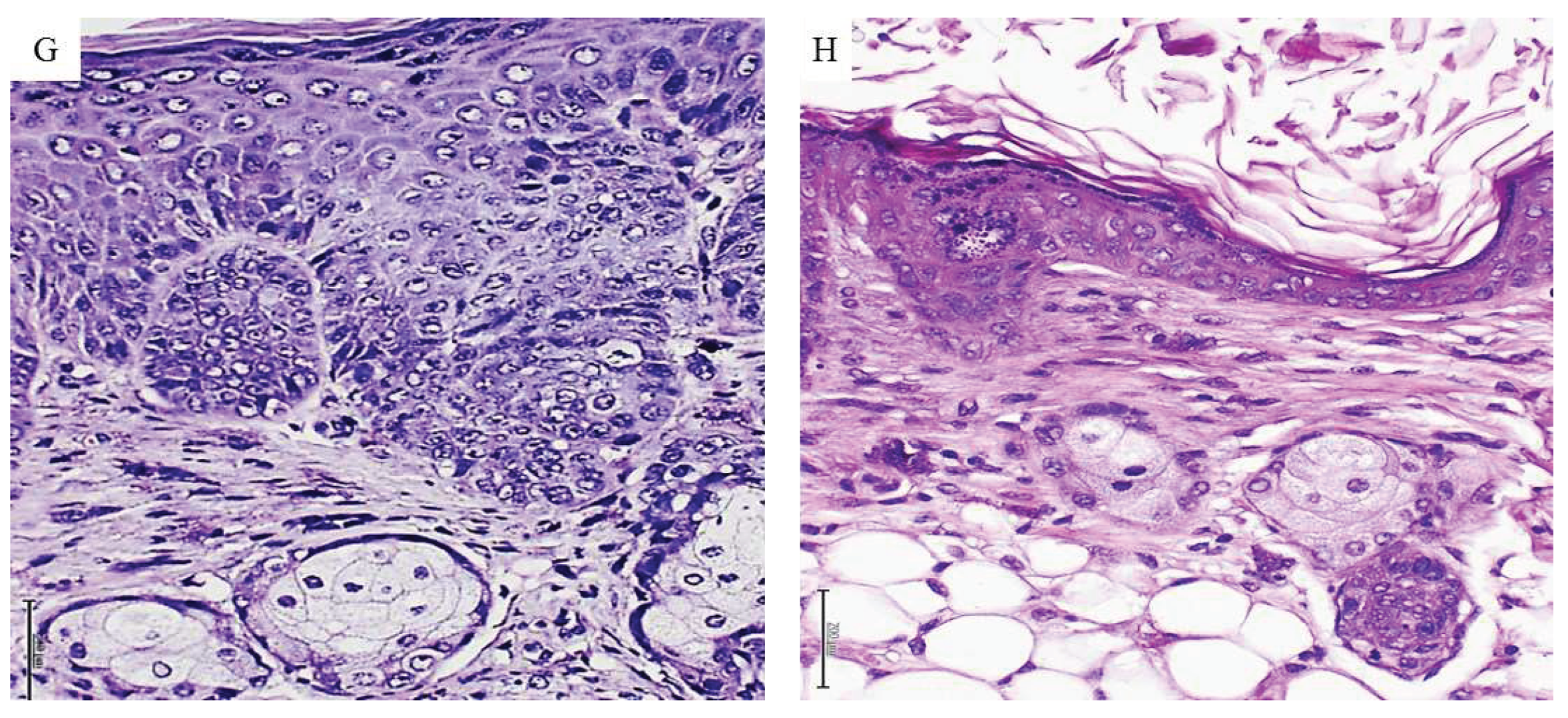 Preprints 89634 g003b