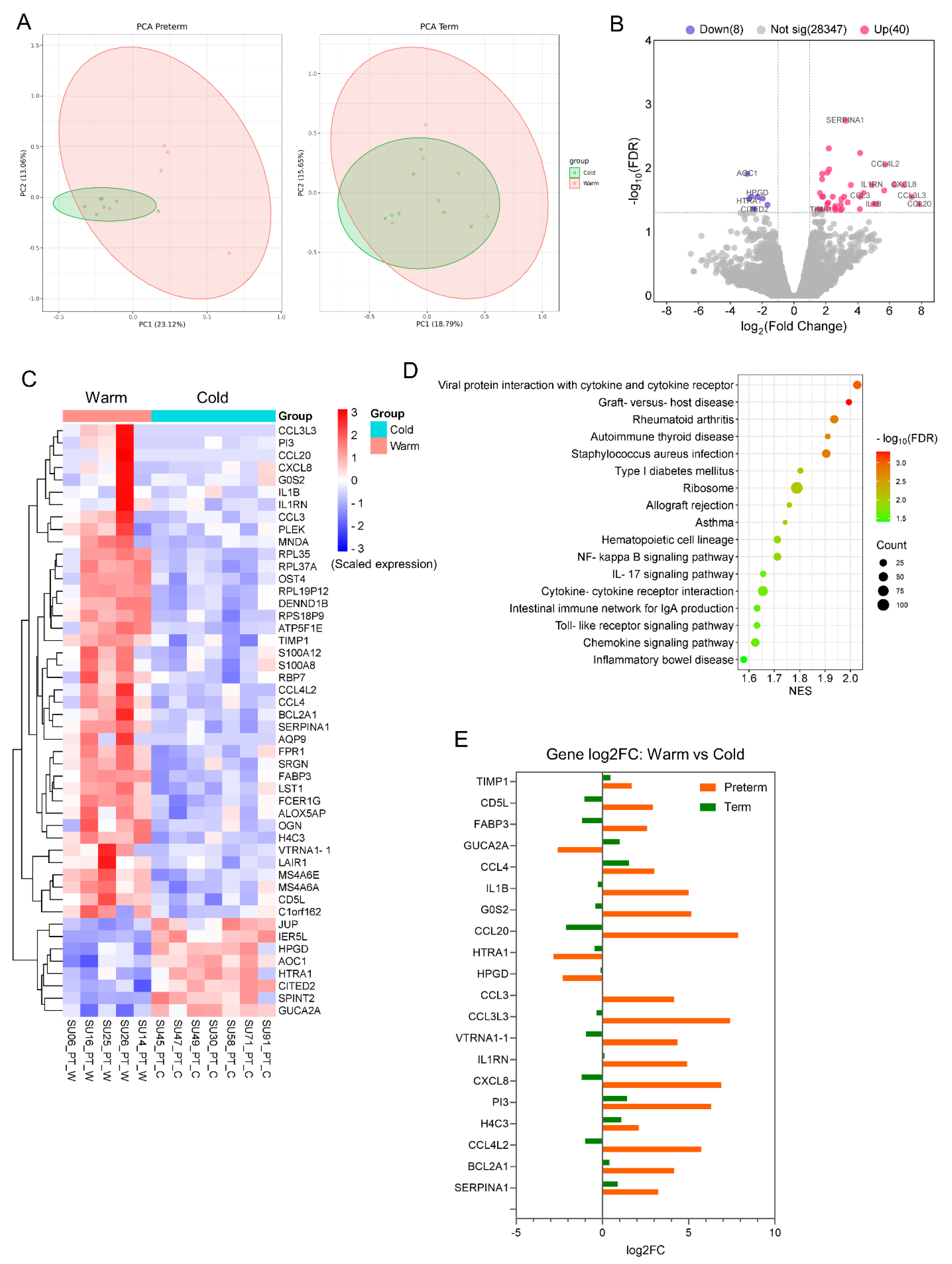 Preprints 113690 g002