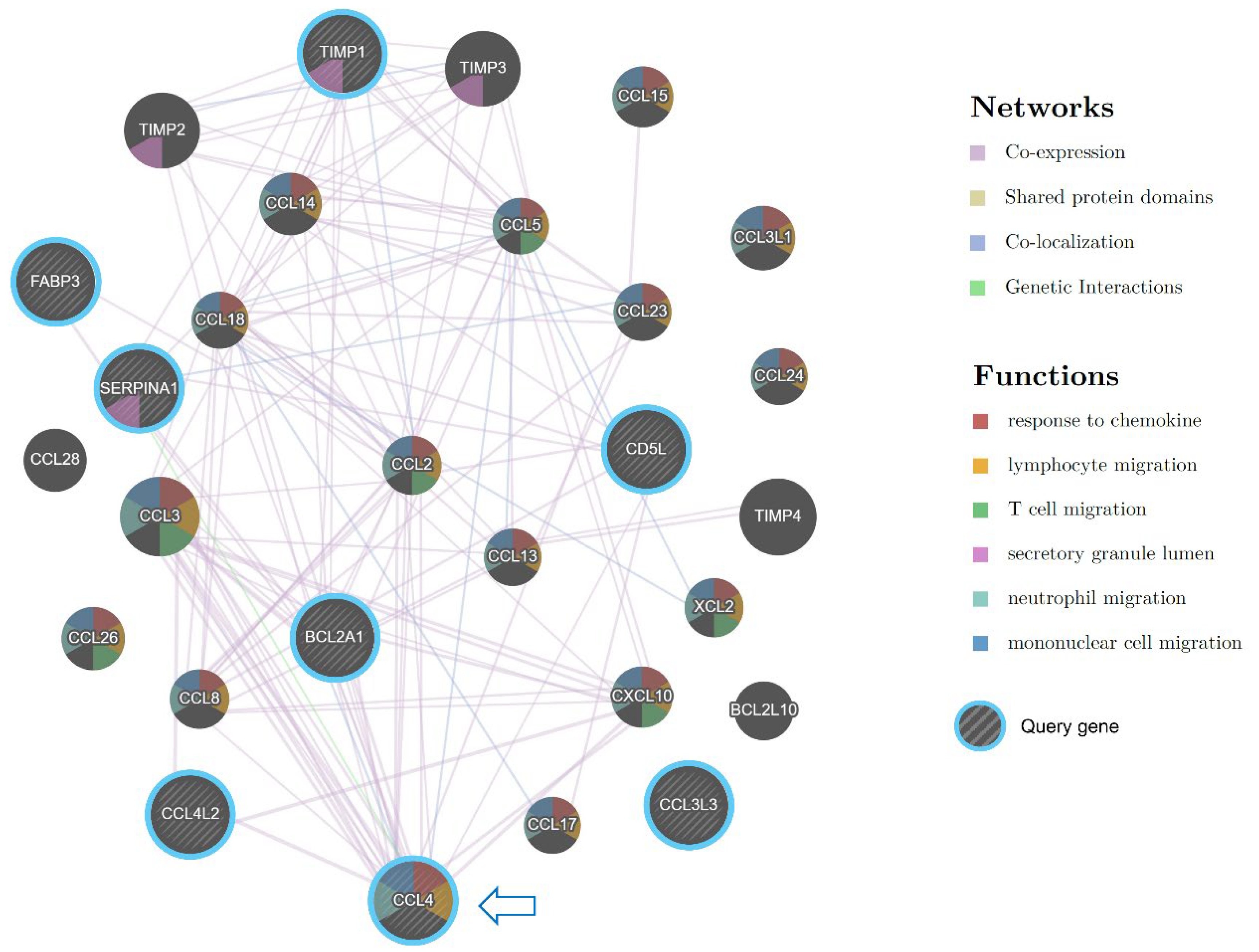 Preprints 113690 g006