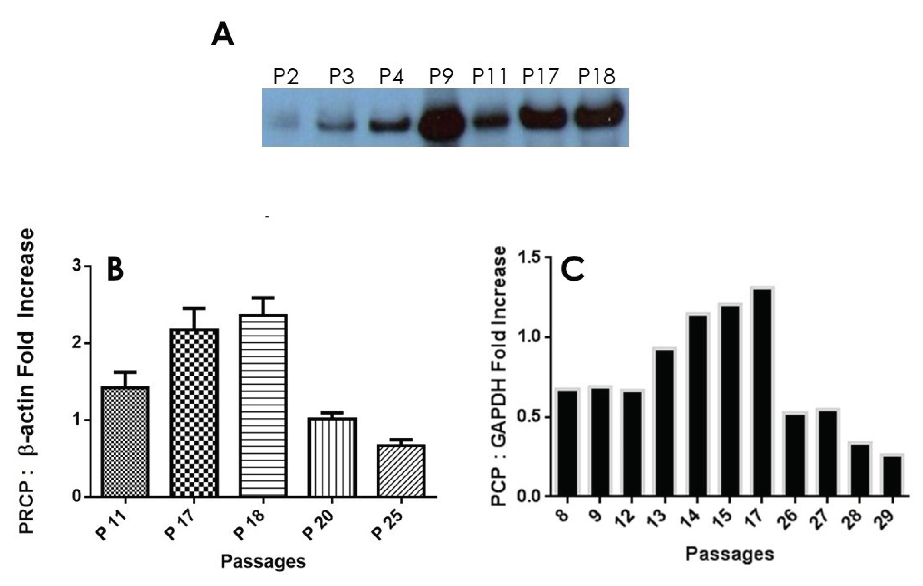 Preprints 102476 g002