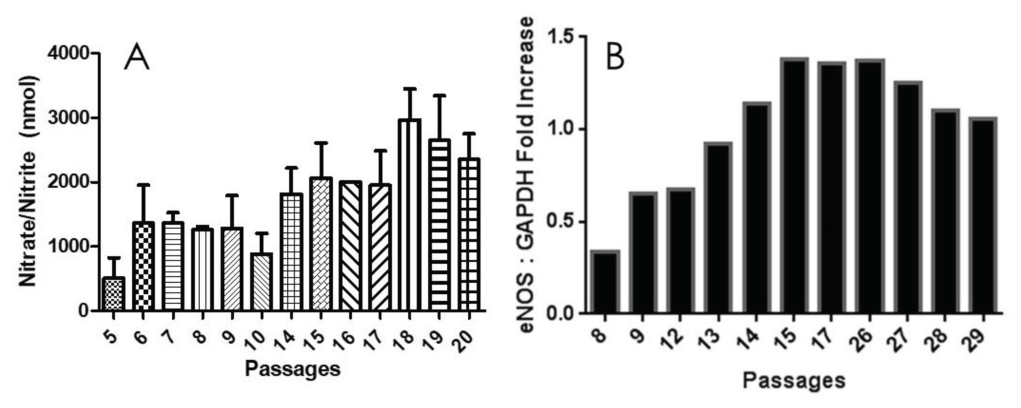 Preprints 102476 g003