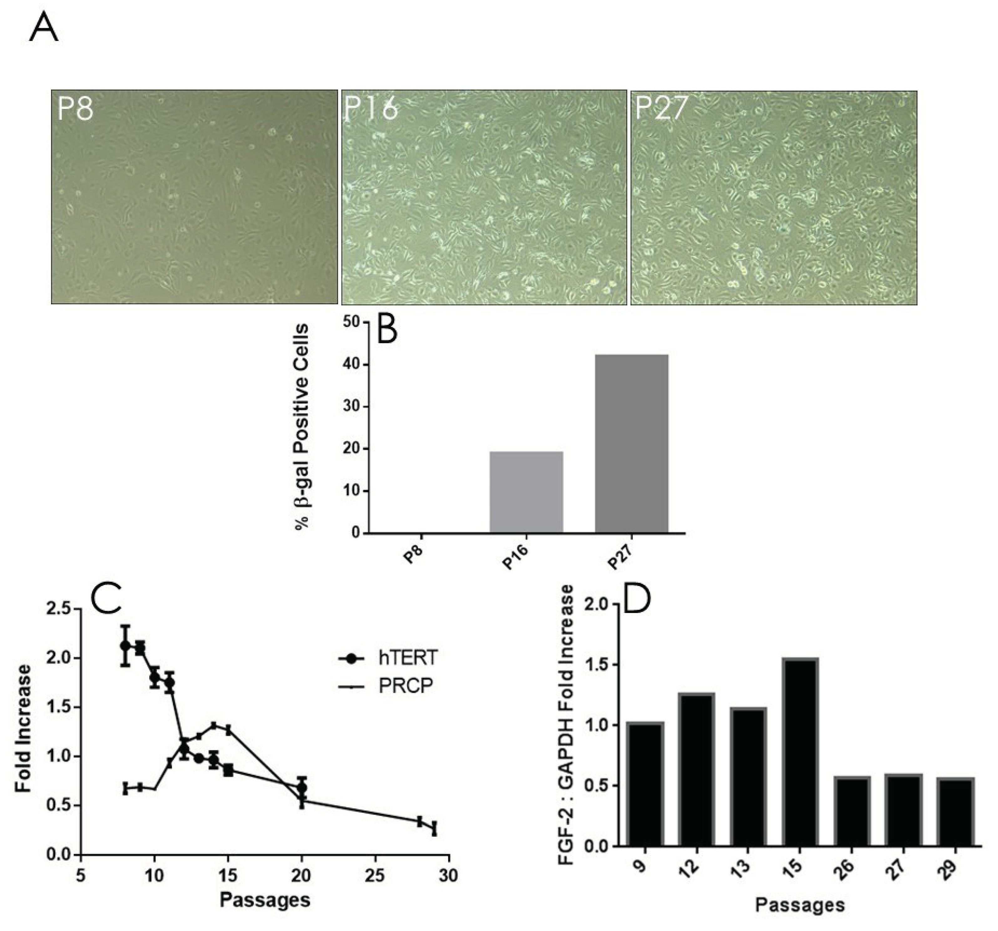 Preprints 102476 g004