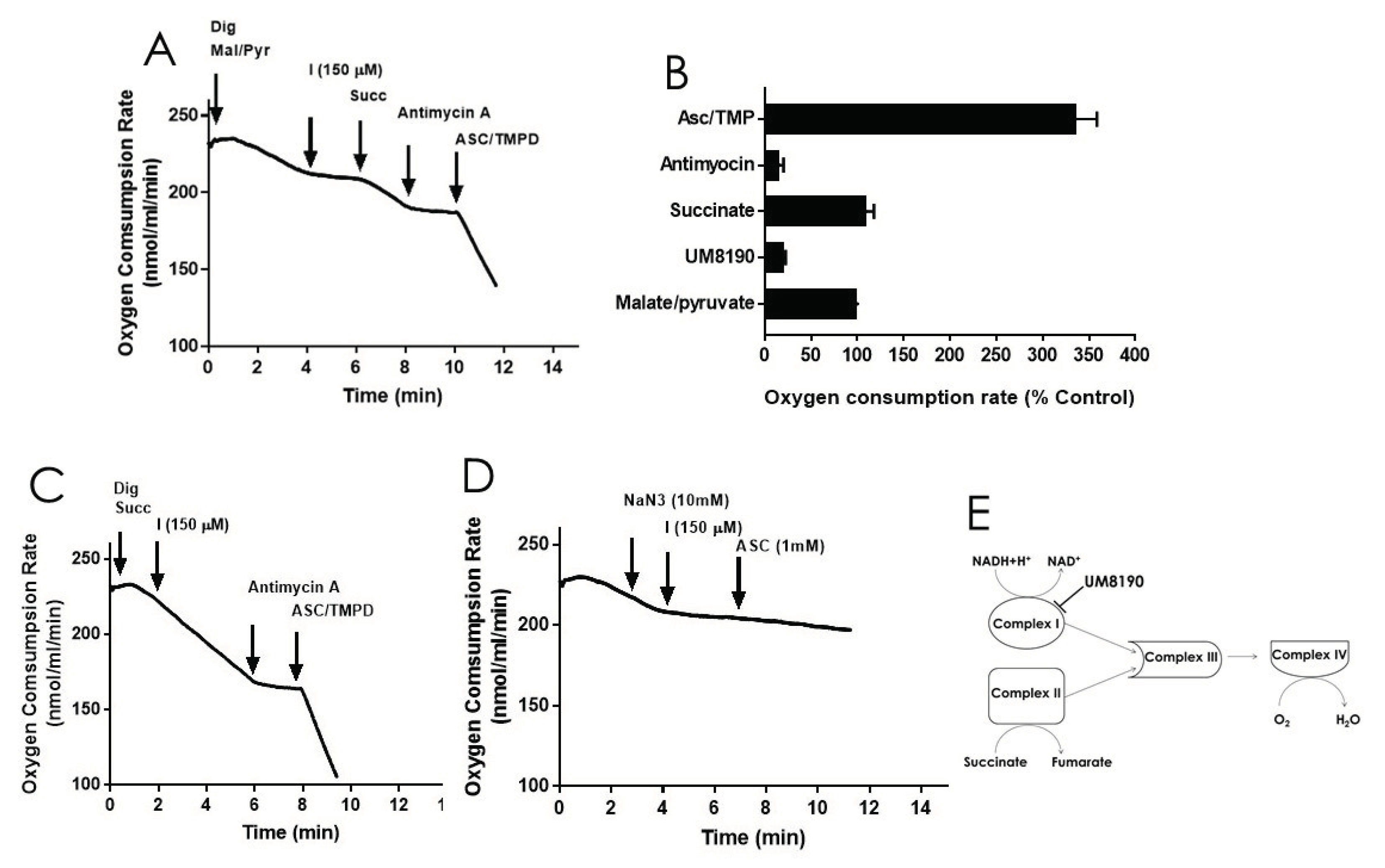 Preprints 102476 g006