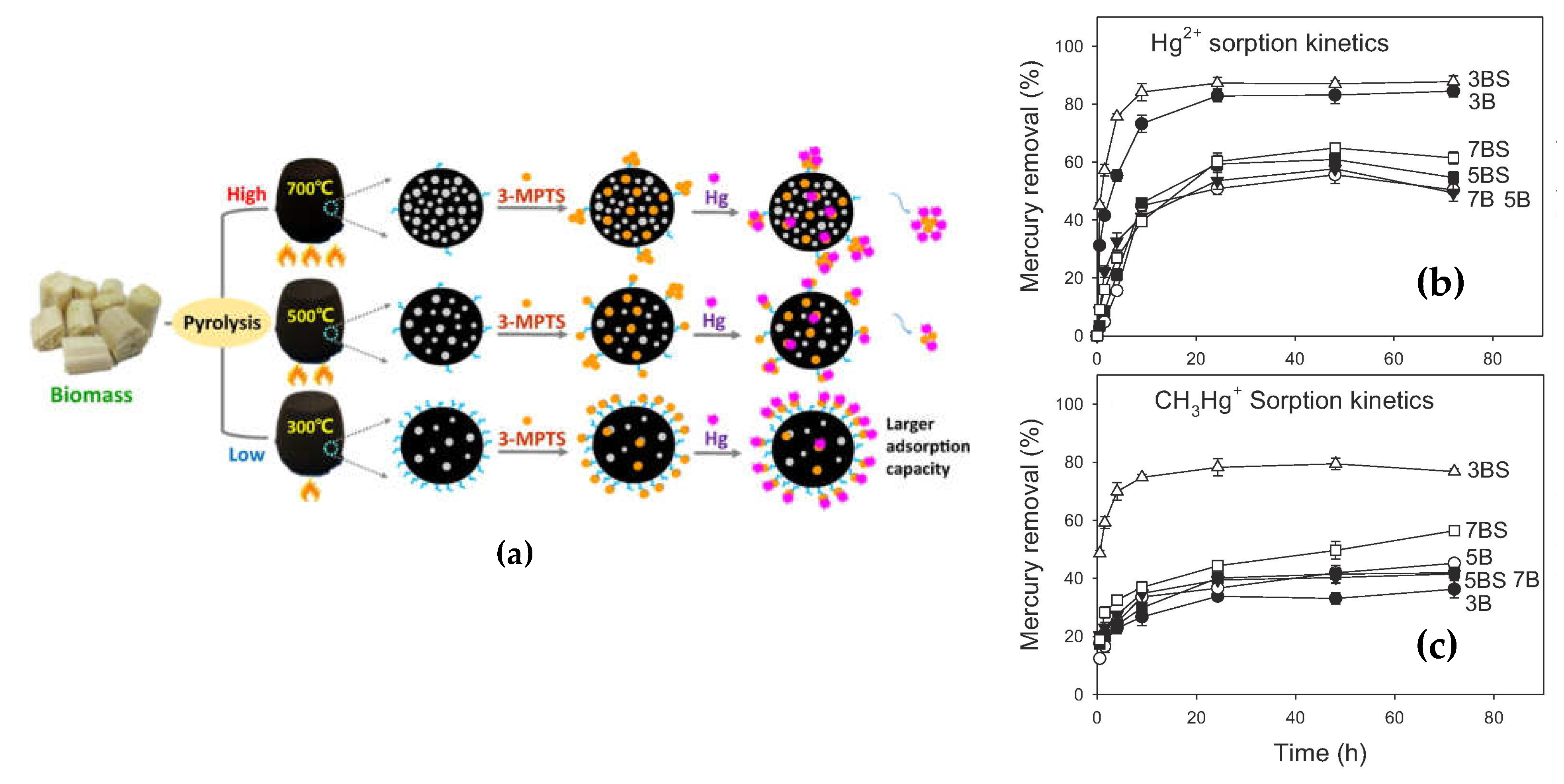 Preprints 69953 g005