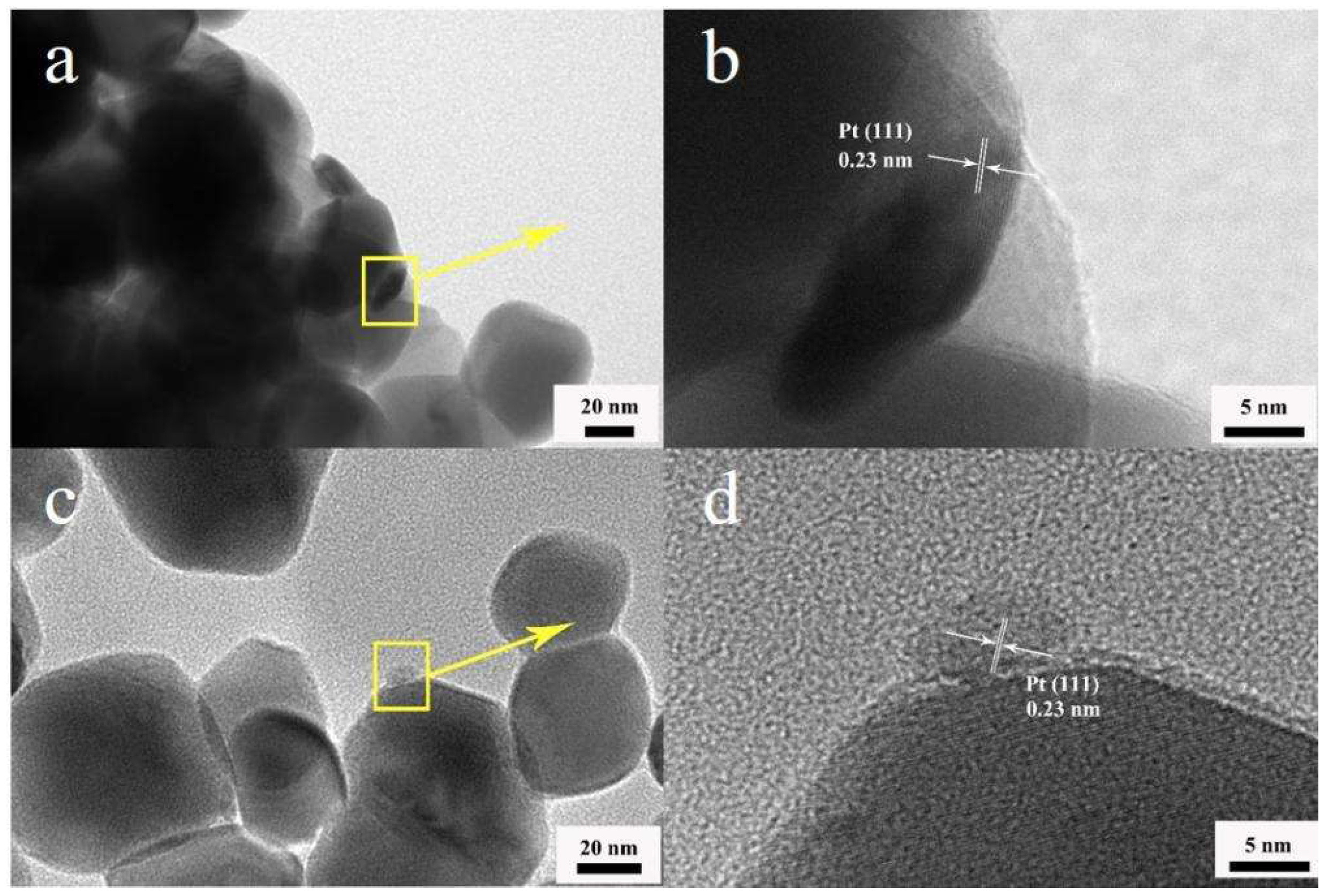 Preprints 77003 g003