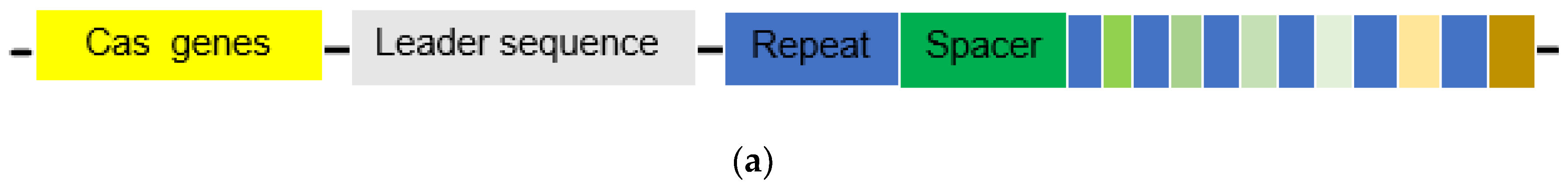 Preprints 92933 g001a