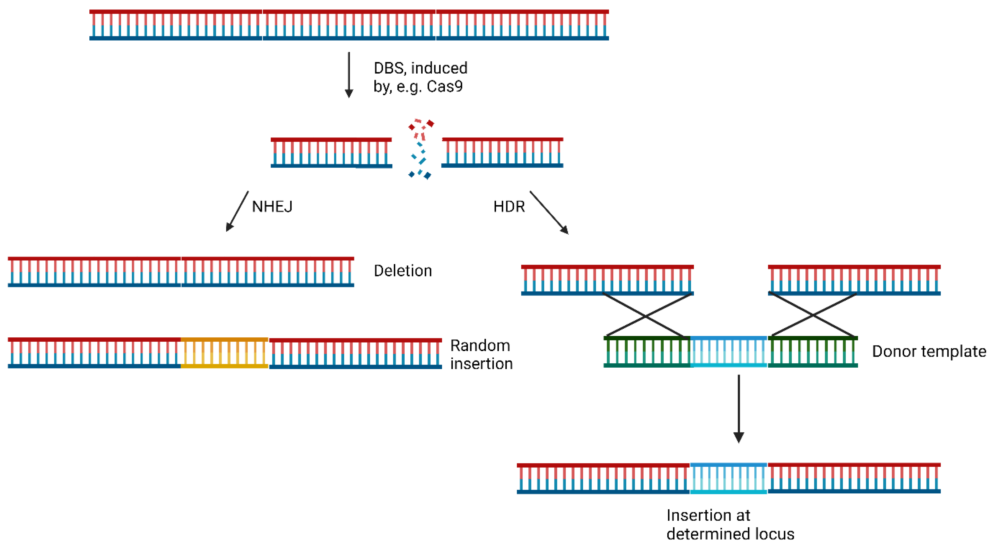 Preprints 92933 g002