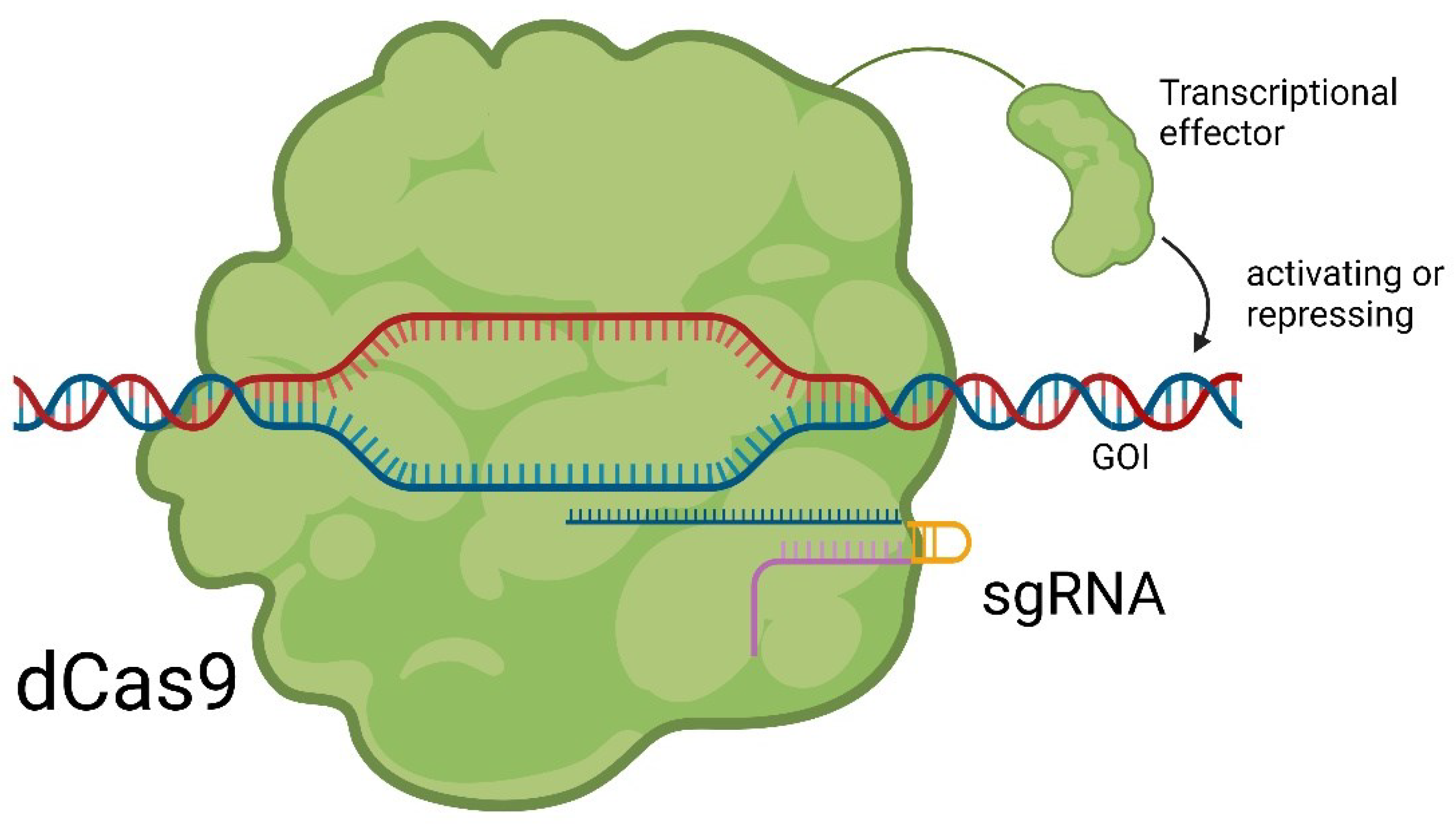 Preprints 92933 g003