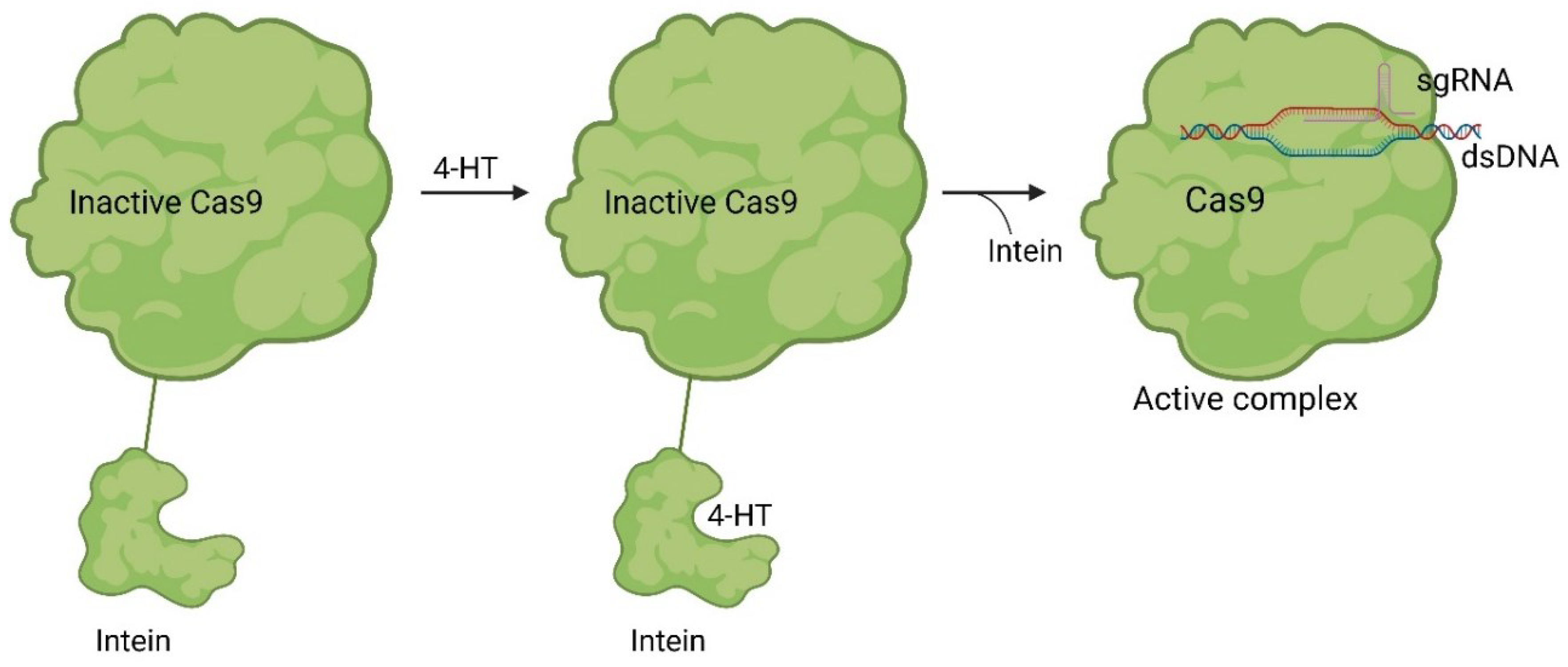 Preprints 92933 g006