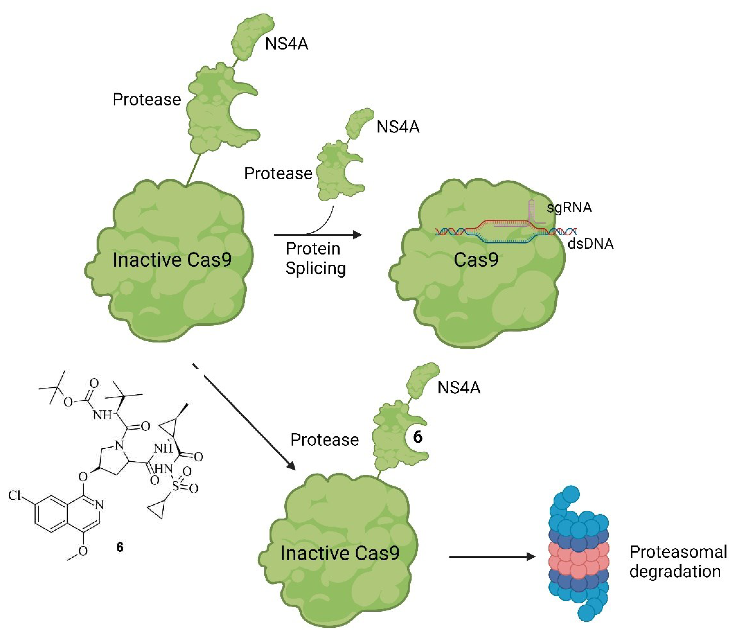 Preprints 92933 g007