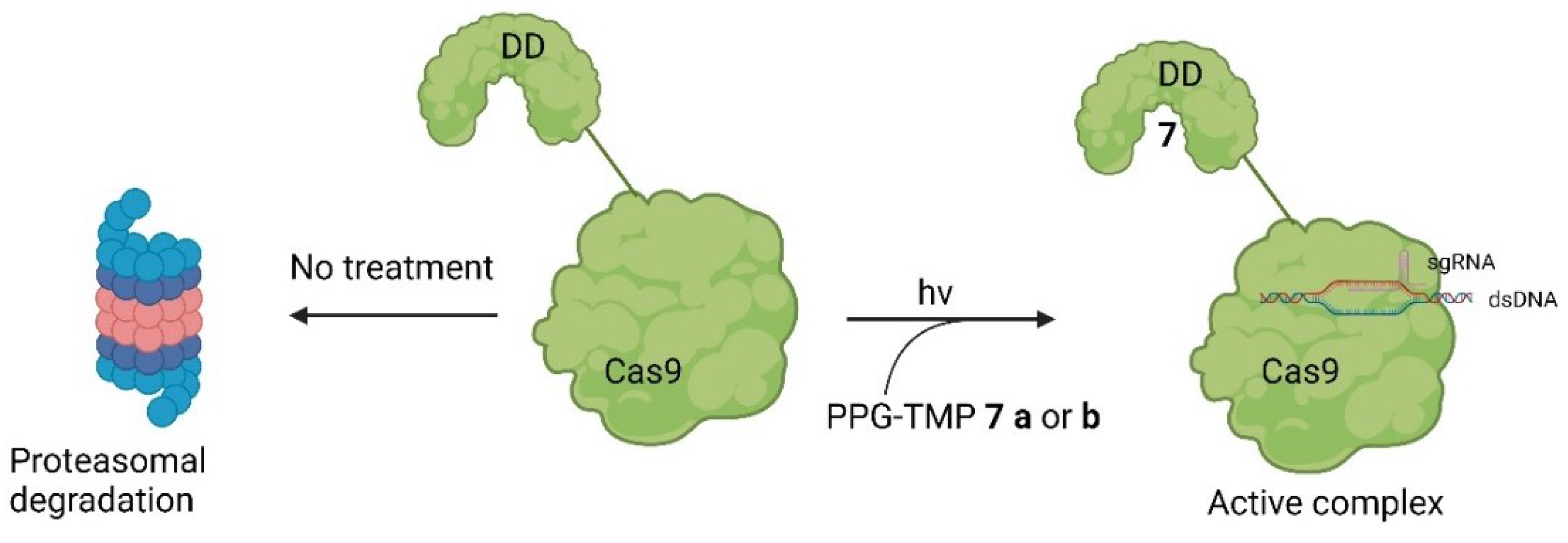 Preprints 92933 g008b