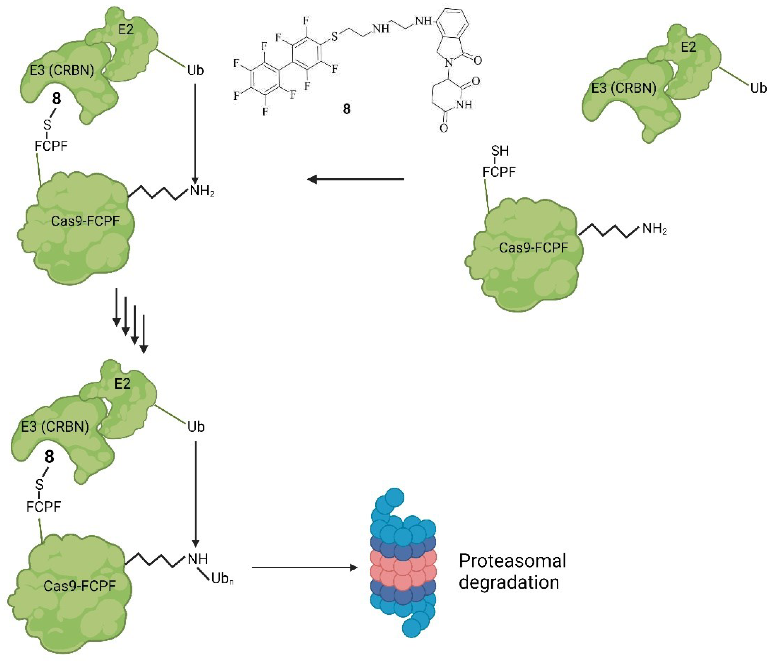 Preprints 92933 g009