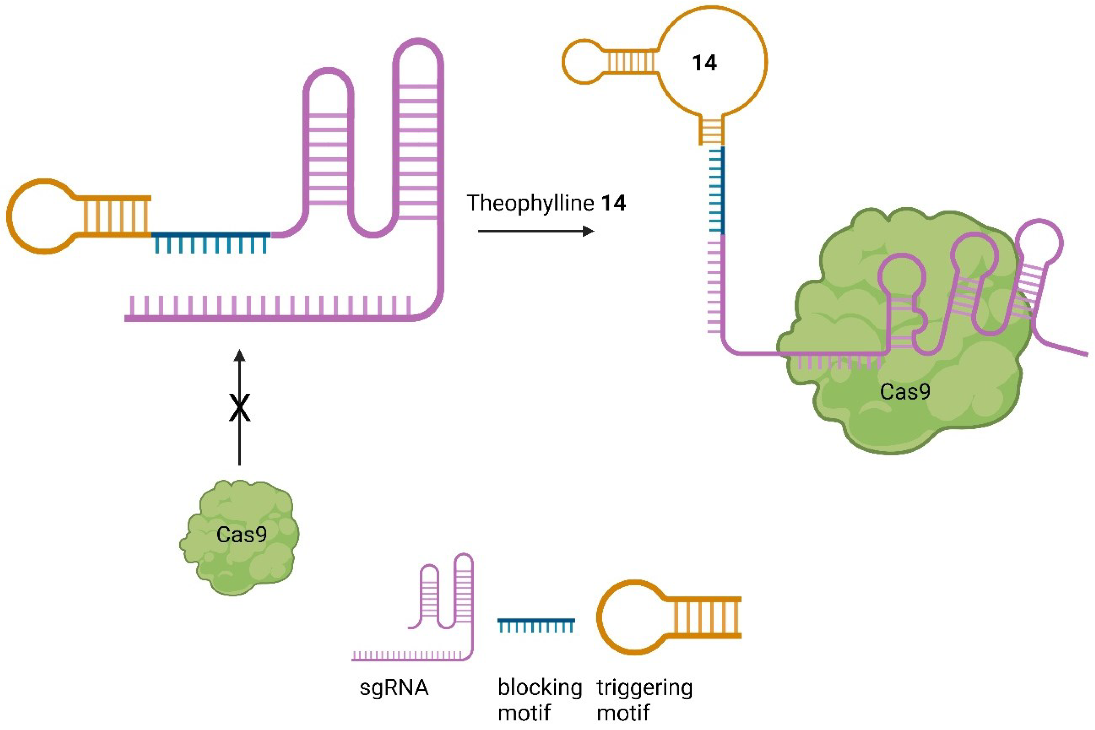 Preprints 92933 g014